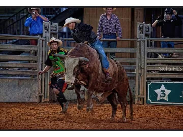 3200 River Ranch Boulevard #215 River Ranch FL 33867 O6360187 image17