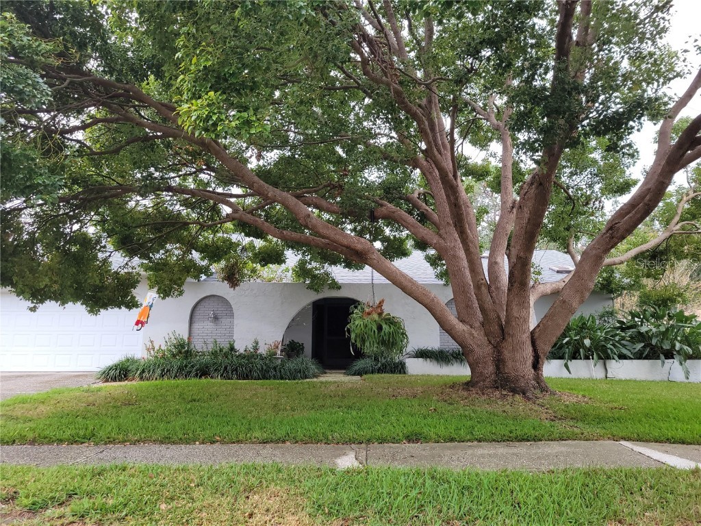 3200 Sandy Ridge Drive Clearwater FL 33761 TB8385618 image1