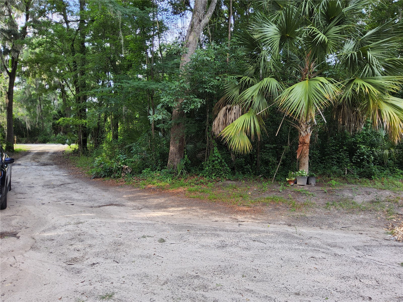 3200 SE 107th Place Ocala FL 34480 G5112908 image2