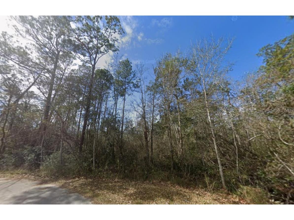 3200 Stefani Road Cantonment FL 32533 O6365685 image2