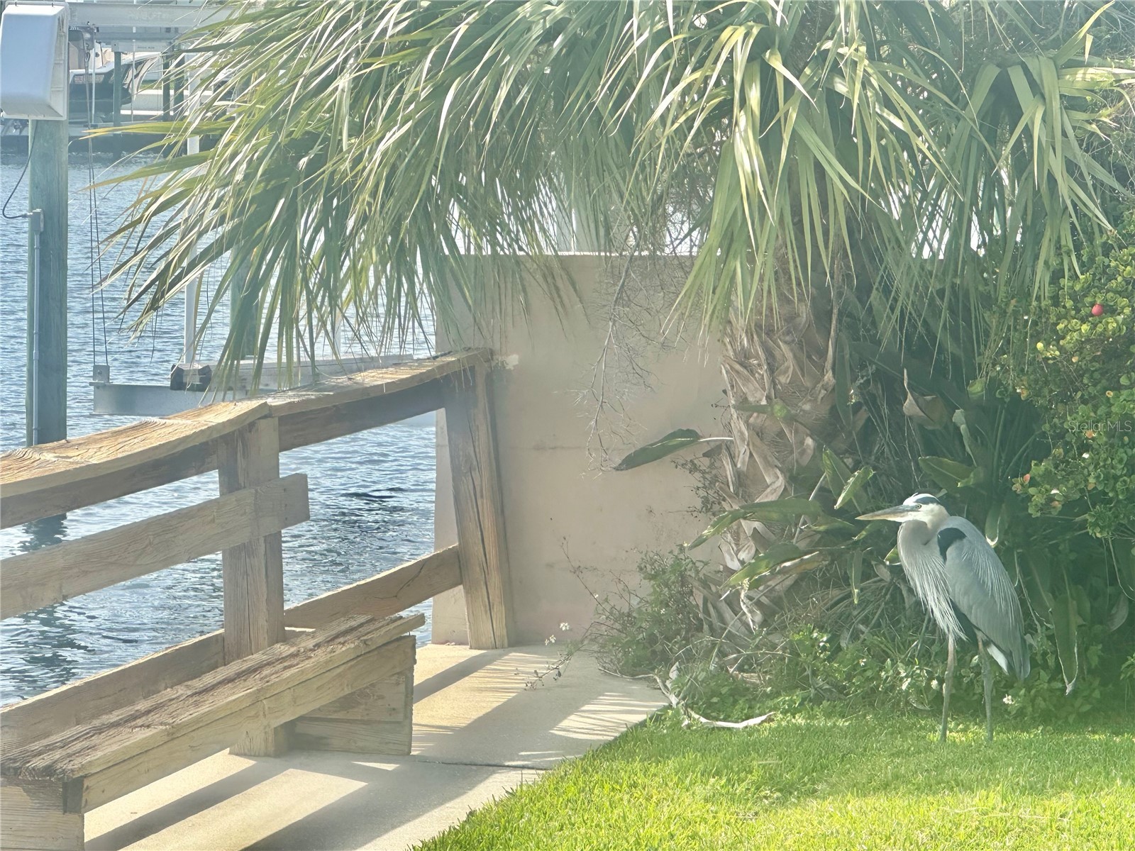 3200 Trident Terrace New Port Richey FL 34652 - GULF OF AMERICA S5145261 image60