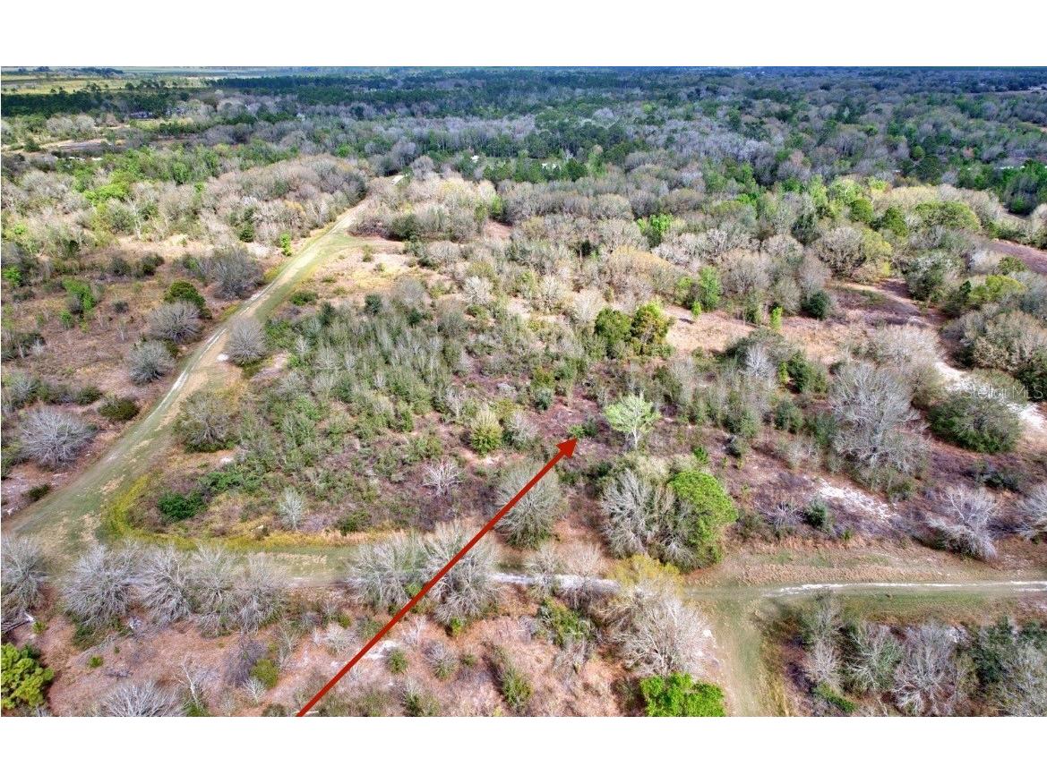 3200 W Jurgenson Road Avon Park FL 33825 O6282967 image1