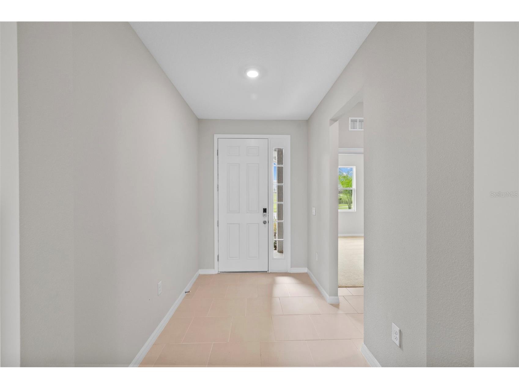 32003 Conchshell Sail Street Wesley Chapel FL 33545 TB8499709 image15