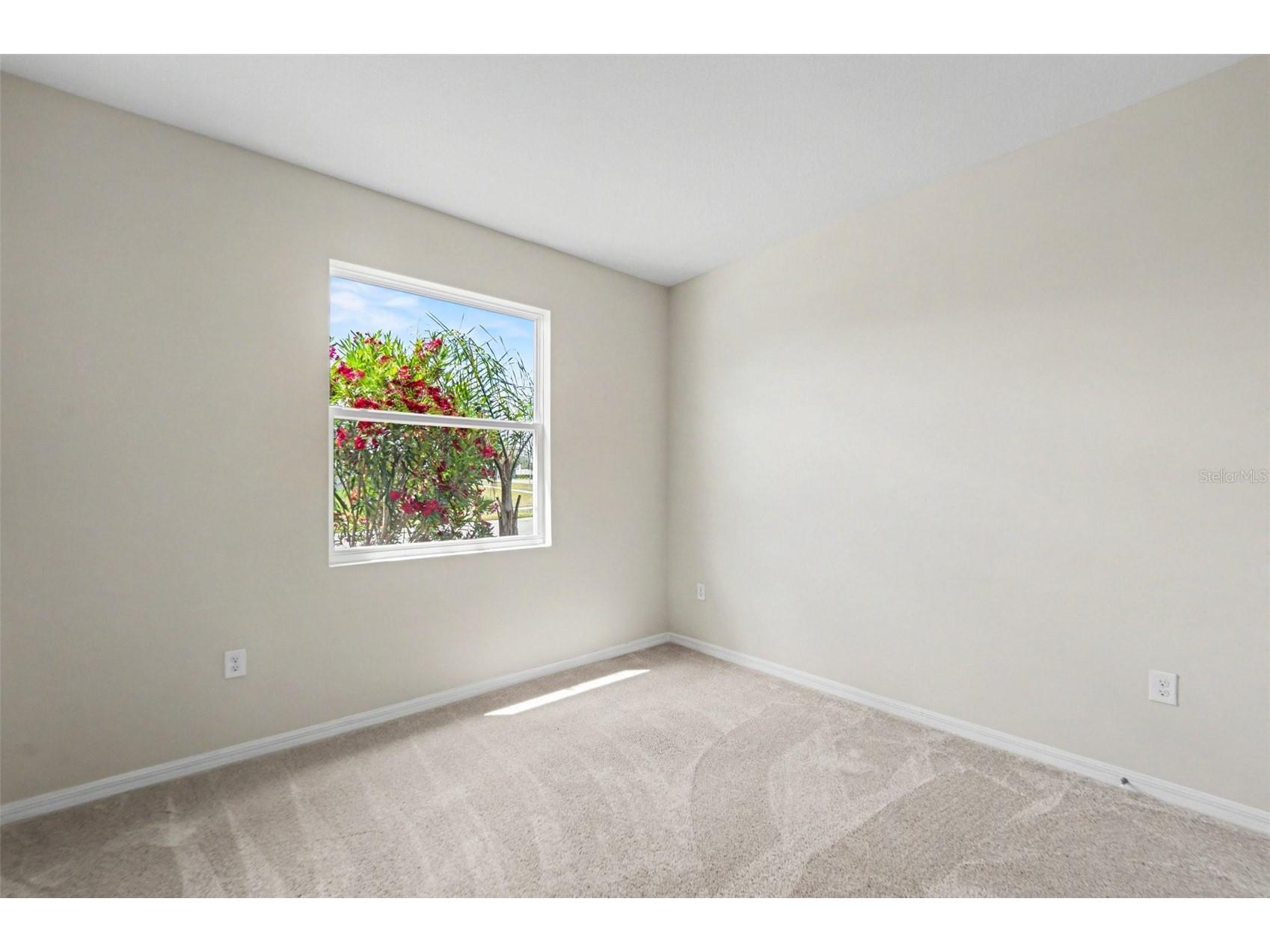 32003 Conchshell Sail Street Wesley Chapel FL 33545 TB8499709 image27