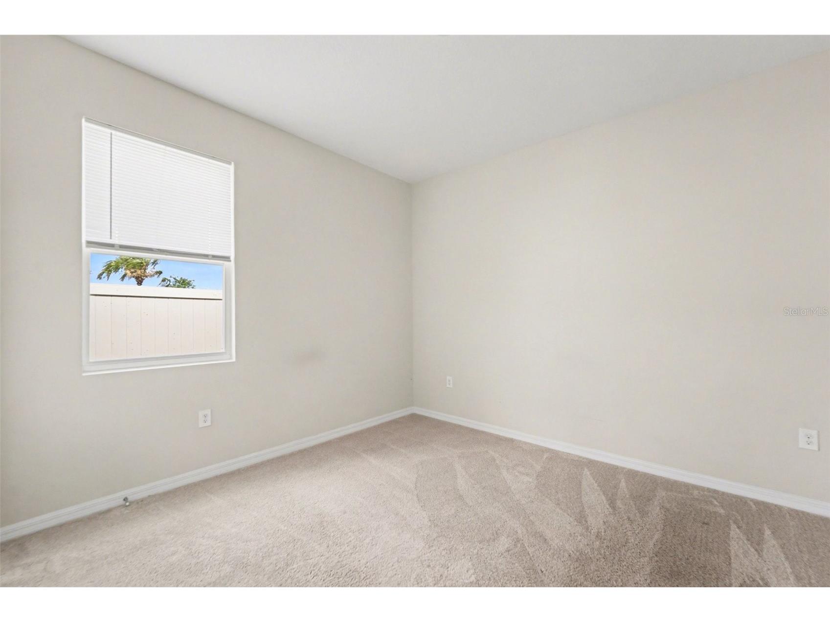 32003 Conchshell Sail Street Wesley Chapel FL 33545 TB8499709 image28