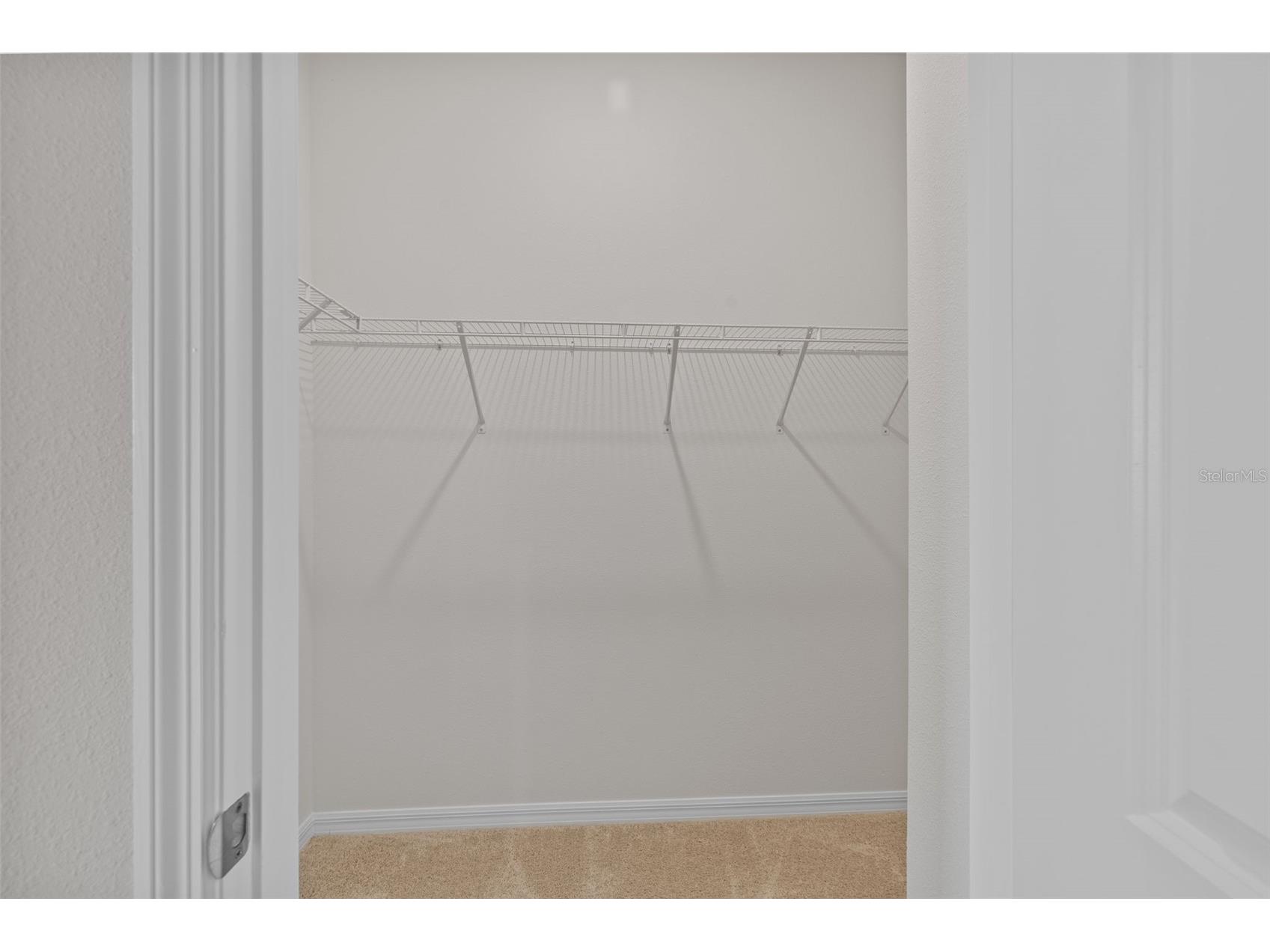 32003 Conchshell Sail Street Wesley Chapel FL 33545 TB8499709 image34