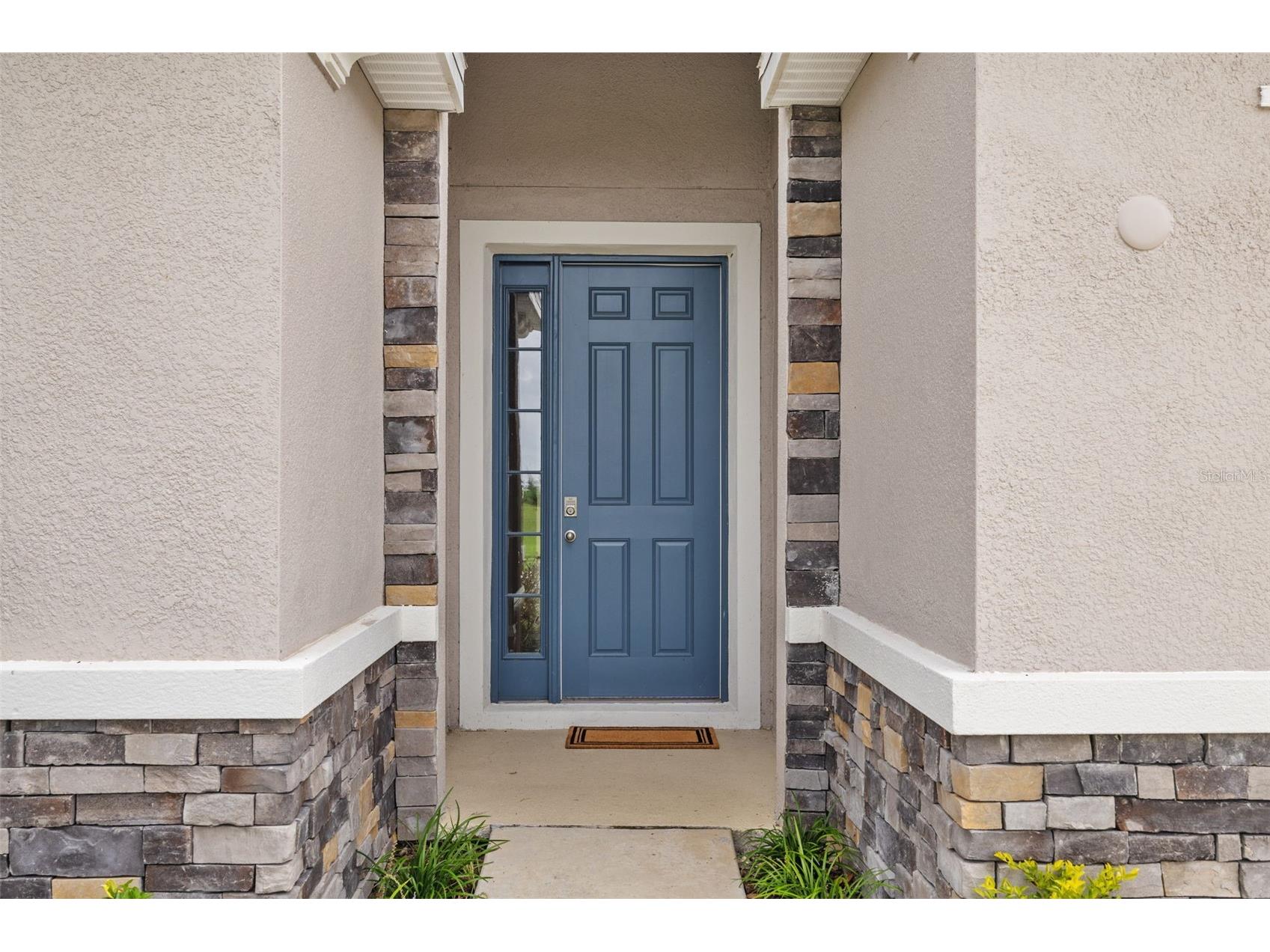 32003 Conchshell Sail Street Wesley Chapel FL 33545 TB8499709 image6