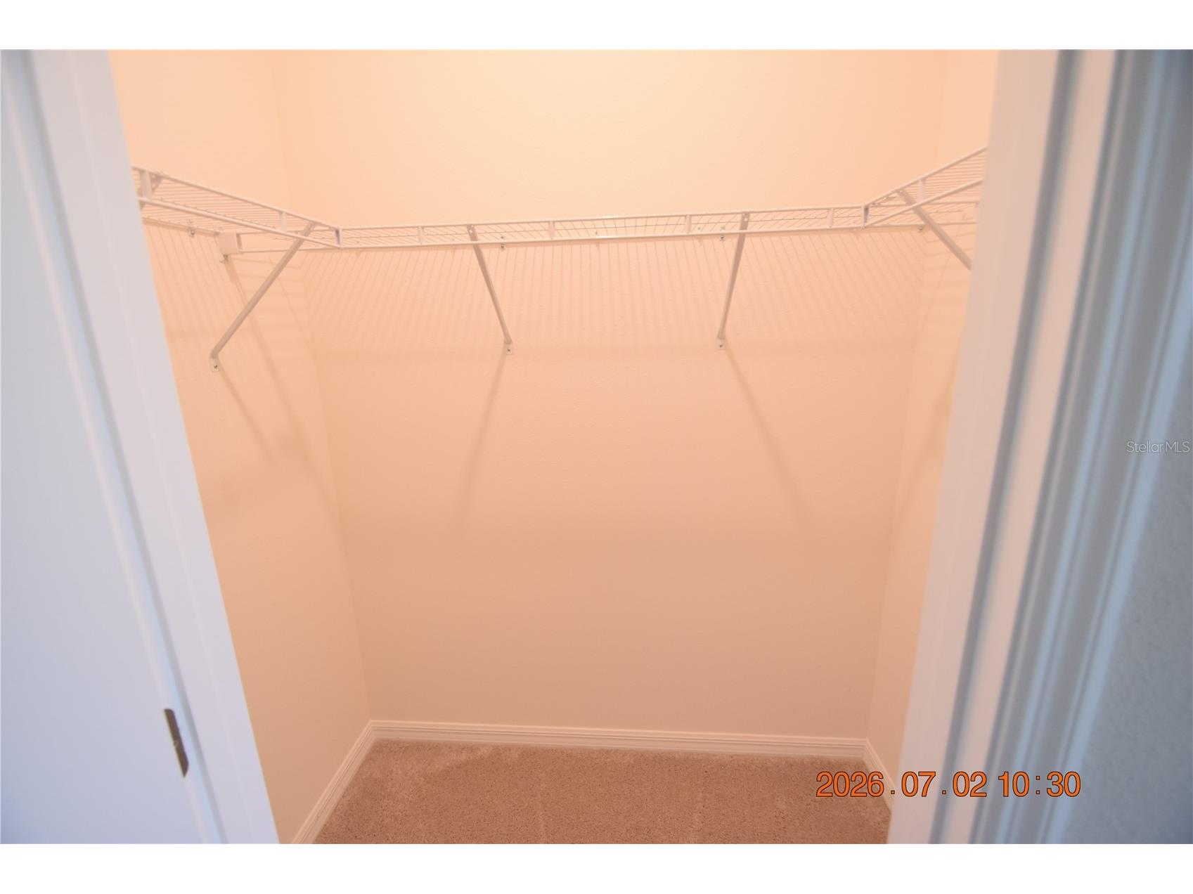 32003 Conchshell Sail Street Wesley Chapel FL 33545 TB8526989 image34