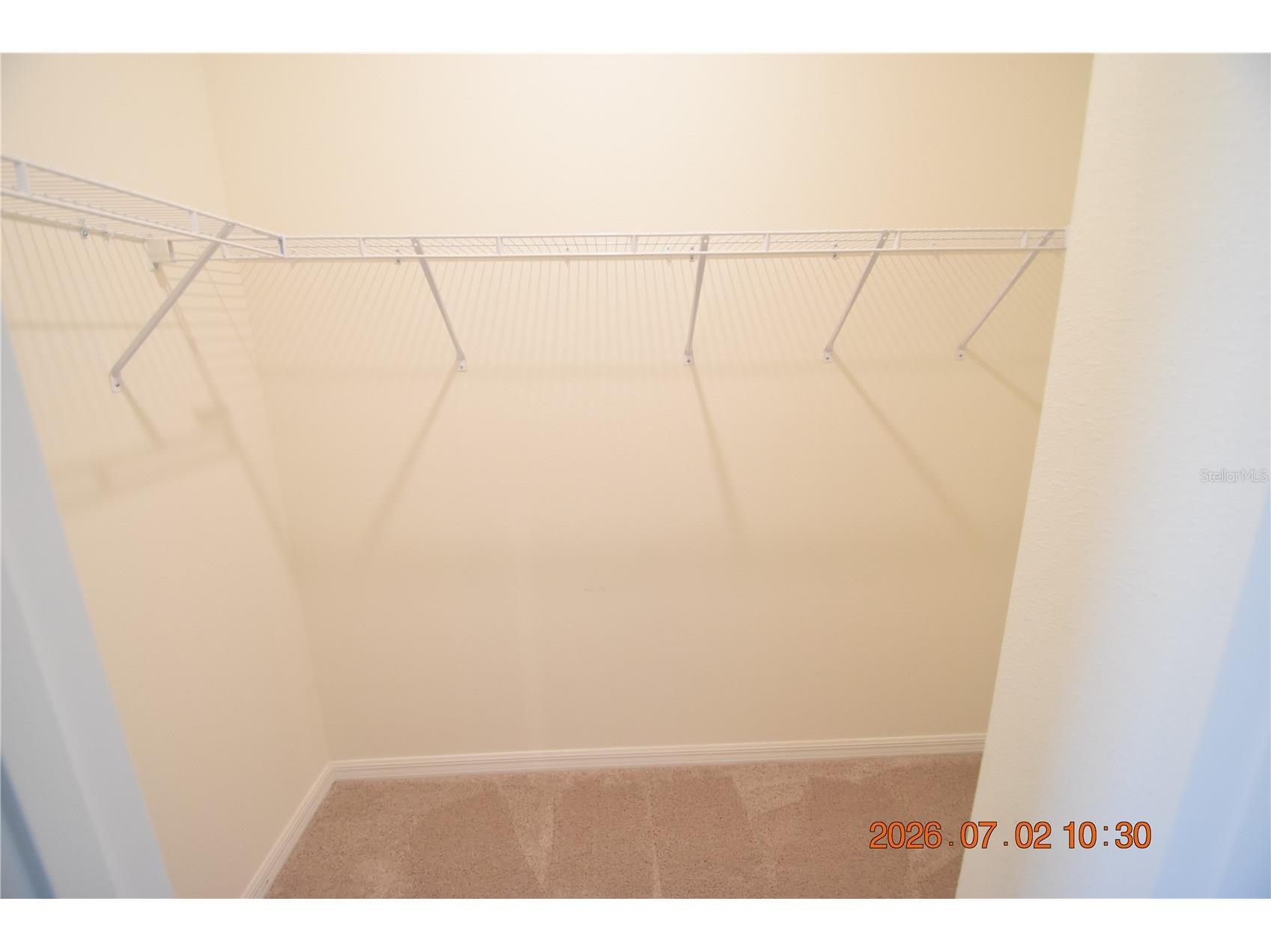 32003 Conchshell Sail Street Wesley Chapel FL 33545 TB8526989 image35