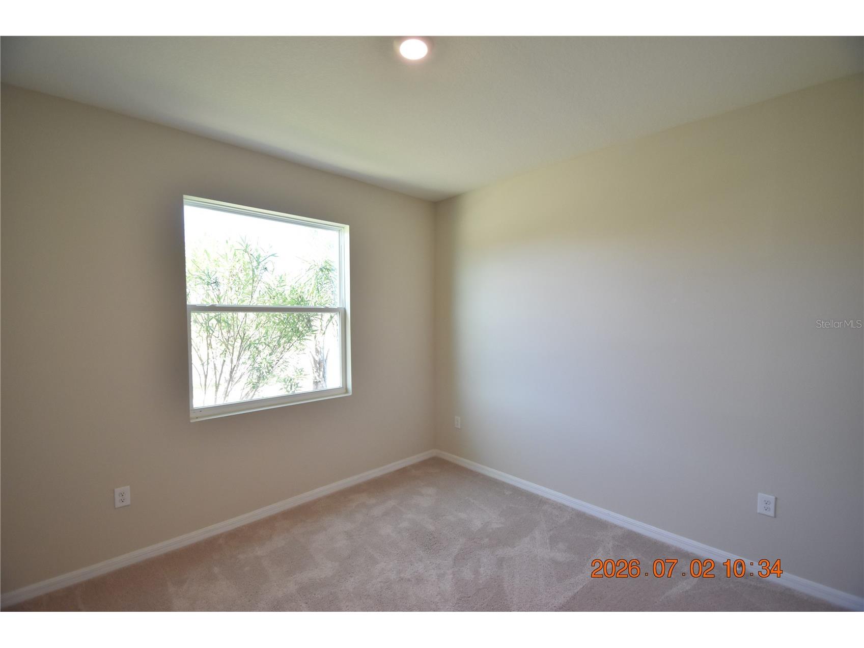 32003 Conchshell Sail Street Wesley Chapel FL 33545 TB8526989 image47