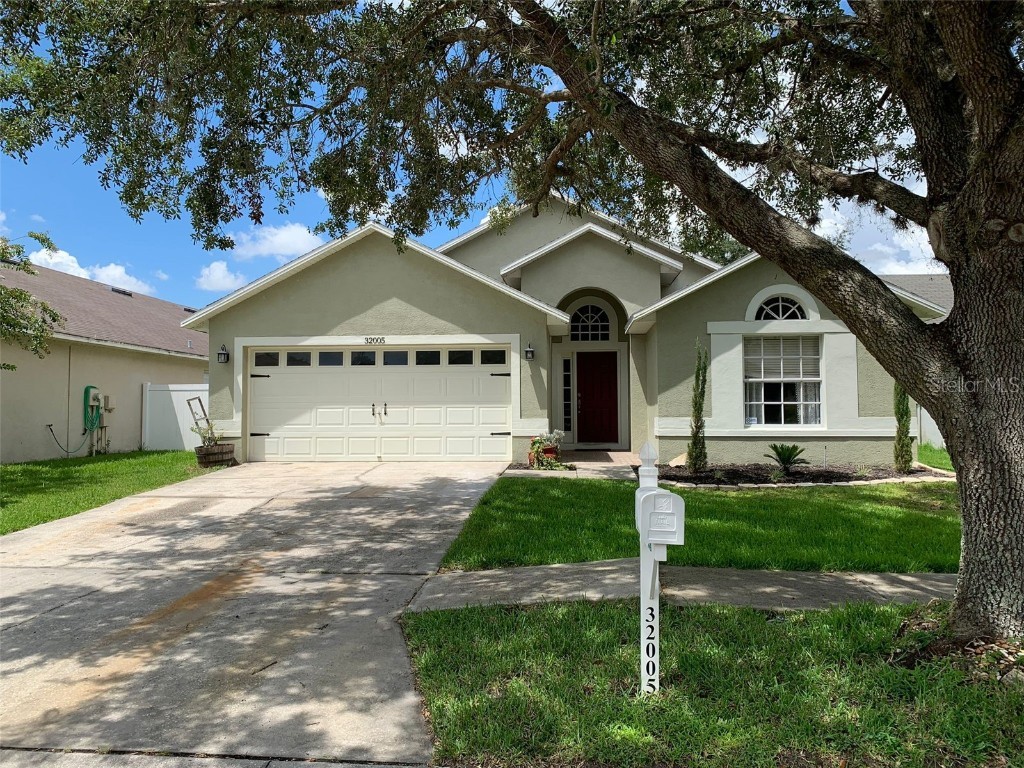 32005 Northridge Drive Wesley Chapel FL 33545 U8206490 image1