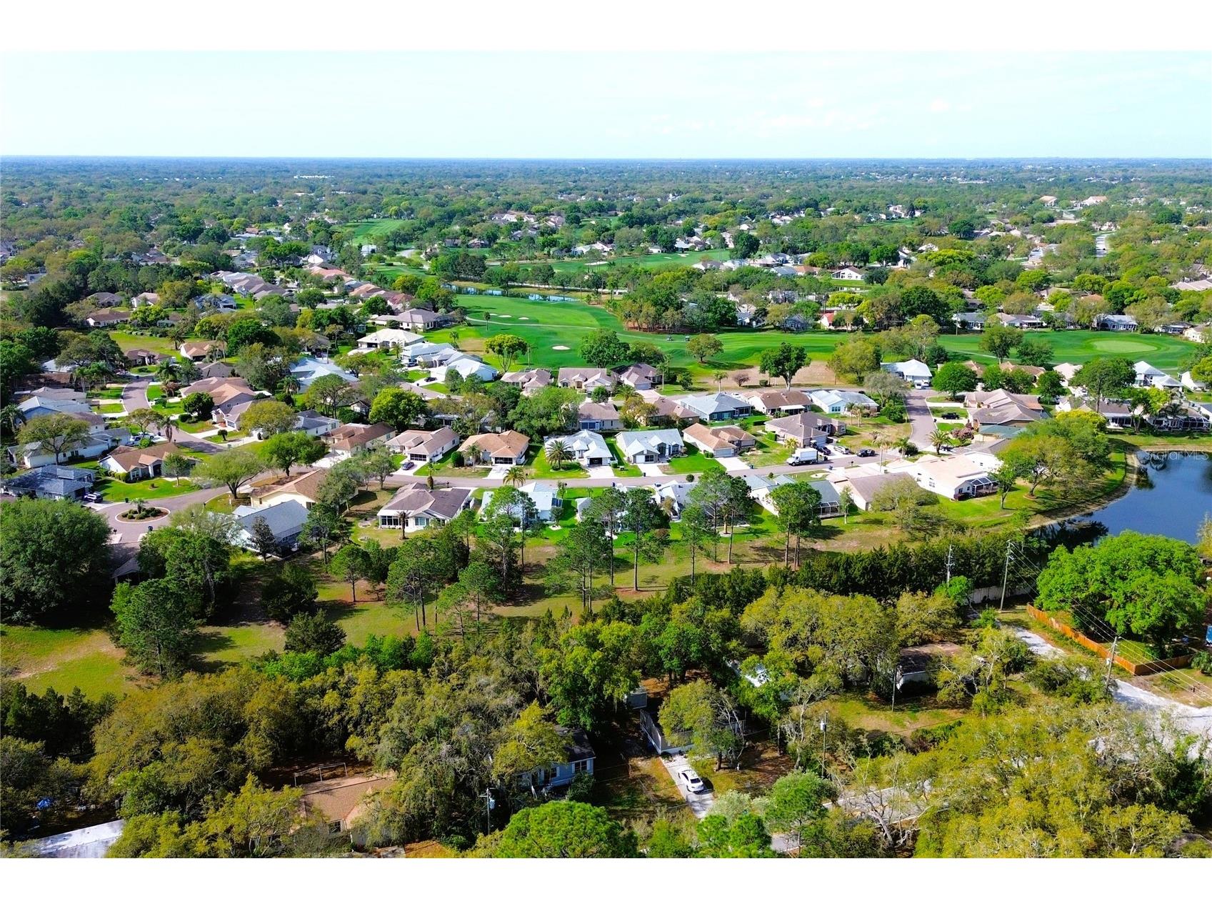3201 Bartlett Street Spring Hill FL 34606 TB8495049 image54