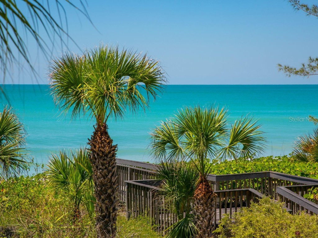 3201 Casey Key Road Nokomis FL 34275 - GULF OF MEXICO A4648103 image39