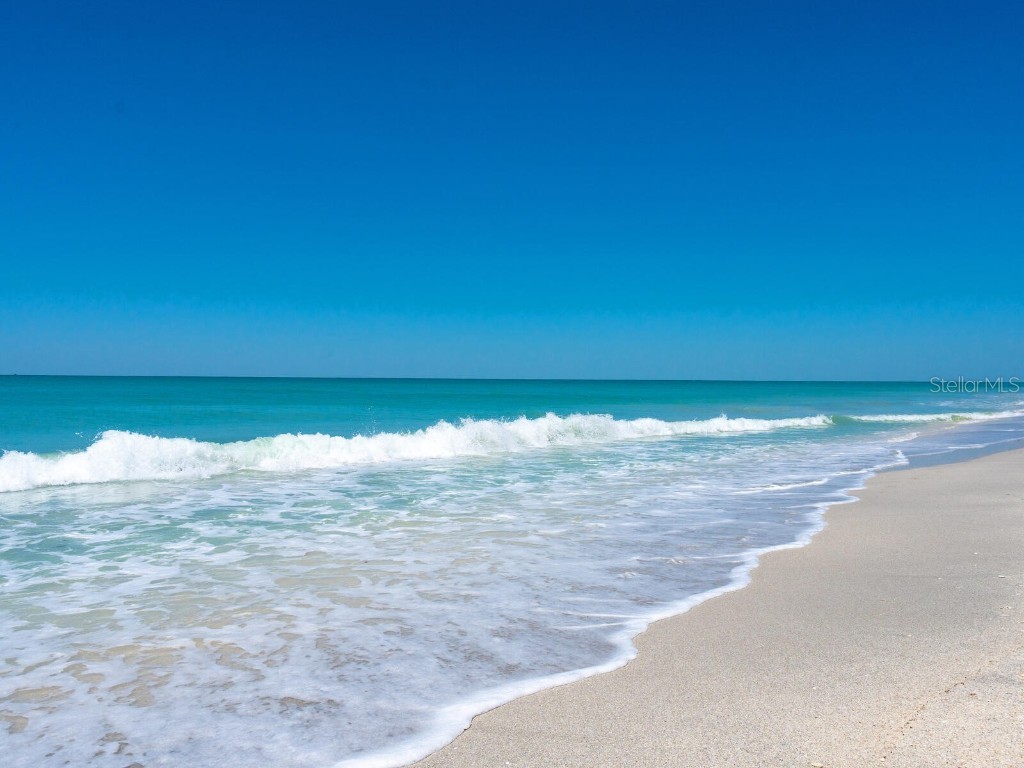 3201 Casey Key Road Nokomis FL 34275 - GULF OF MEXICO A4648103 image43