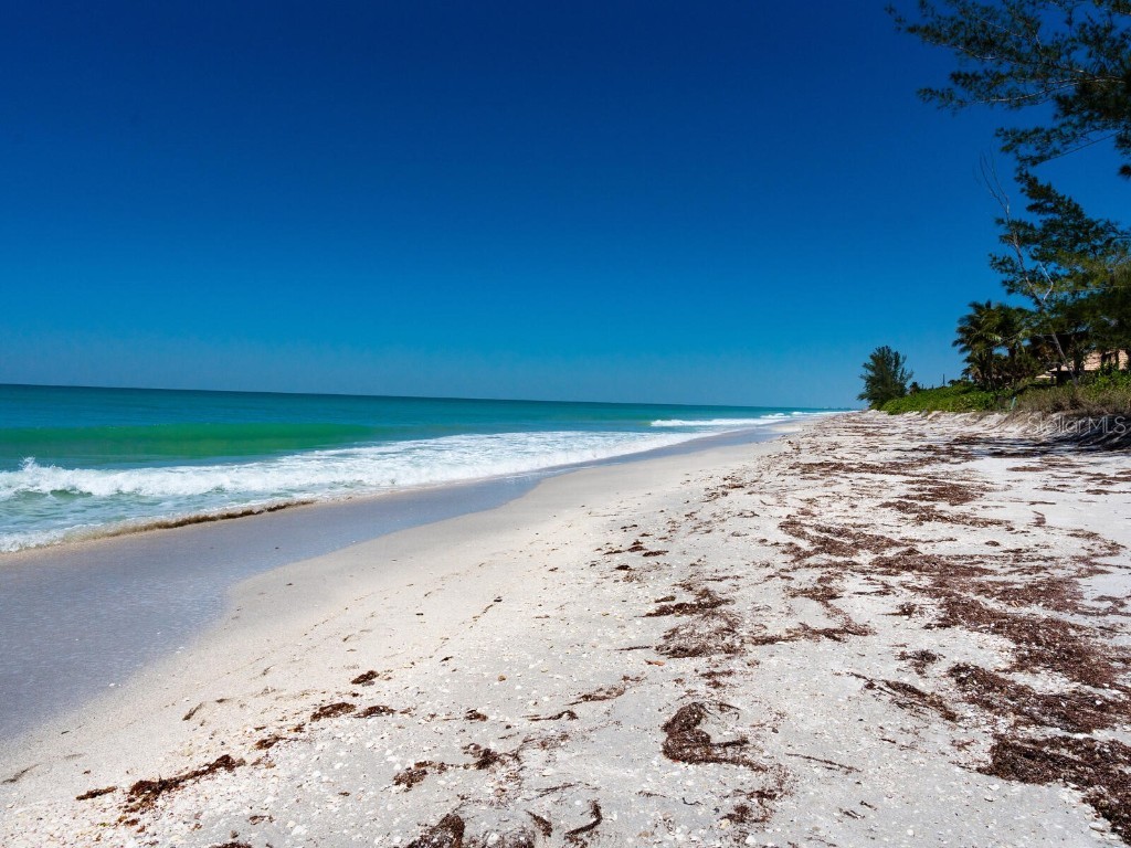 3201 Casey Key Road Nokomis FL 34275 - GULF OF MEXICO A4648103 image44