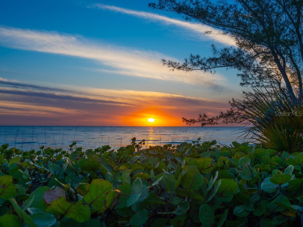 3201 Casey Key Road Nokomis FL 34275 - GULF OF MEXICO A4648103 image58