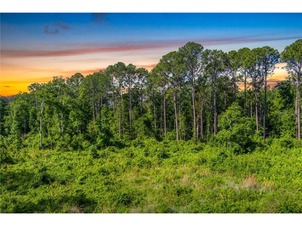 3201 E Raulerson Road Saint Augustine FL 32092 GC535723 image12