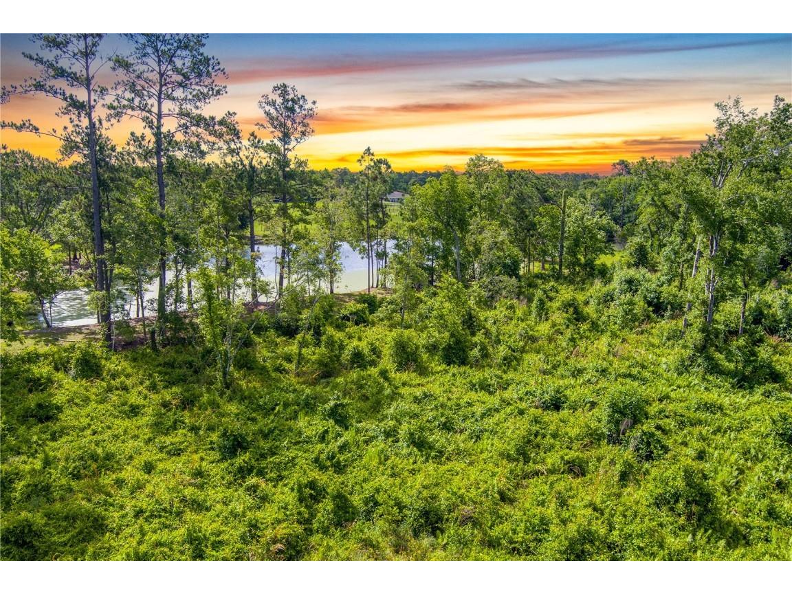 3201 E Raulerson Road Saint Augustine FL 32092 GC535723 image14