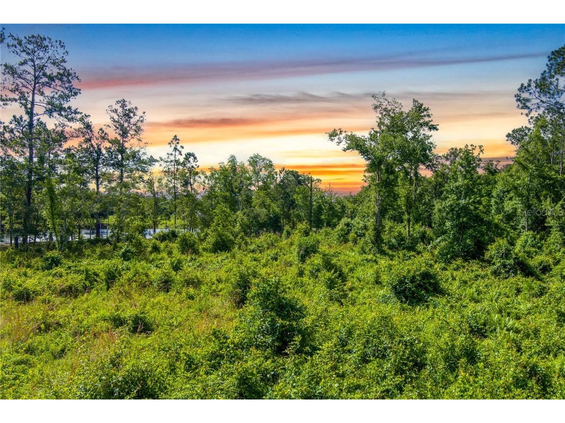 3201 E Raulerson Road Saint Augustine FL 32092 GC535723 image2