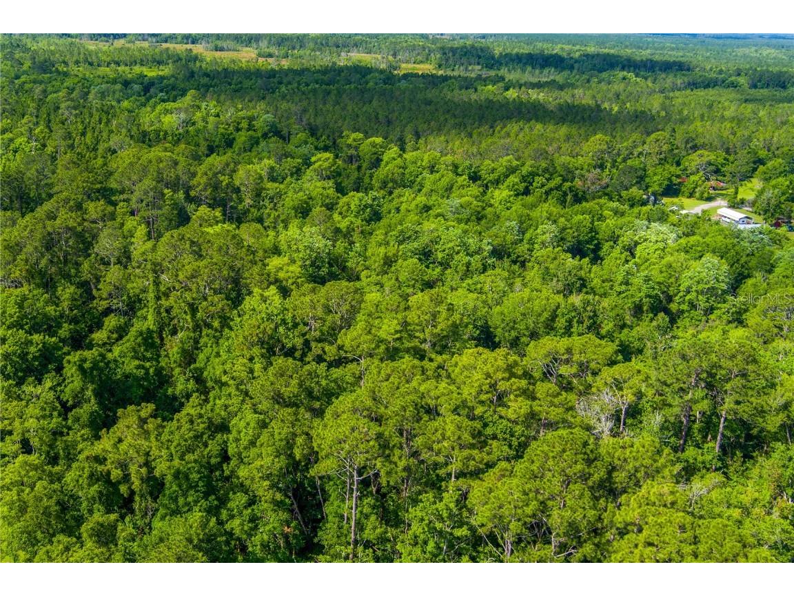 3201 E Raulerson Road Saint Augustine FL 32092 GC535723 image3