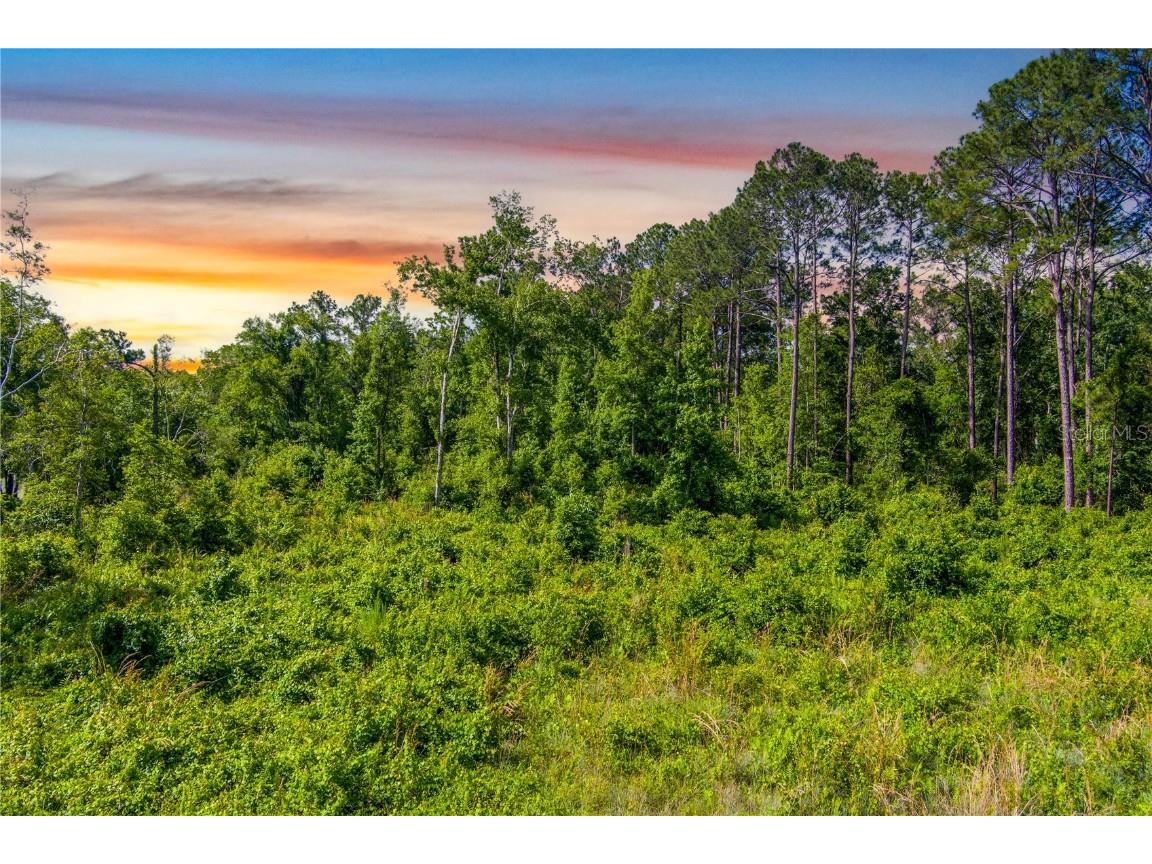 3201 E Raulerson Road Saint Augustine FL 32092 GC535723 image6