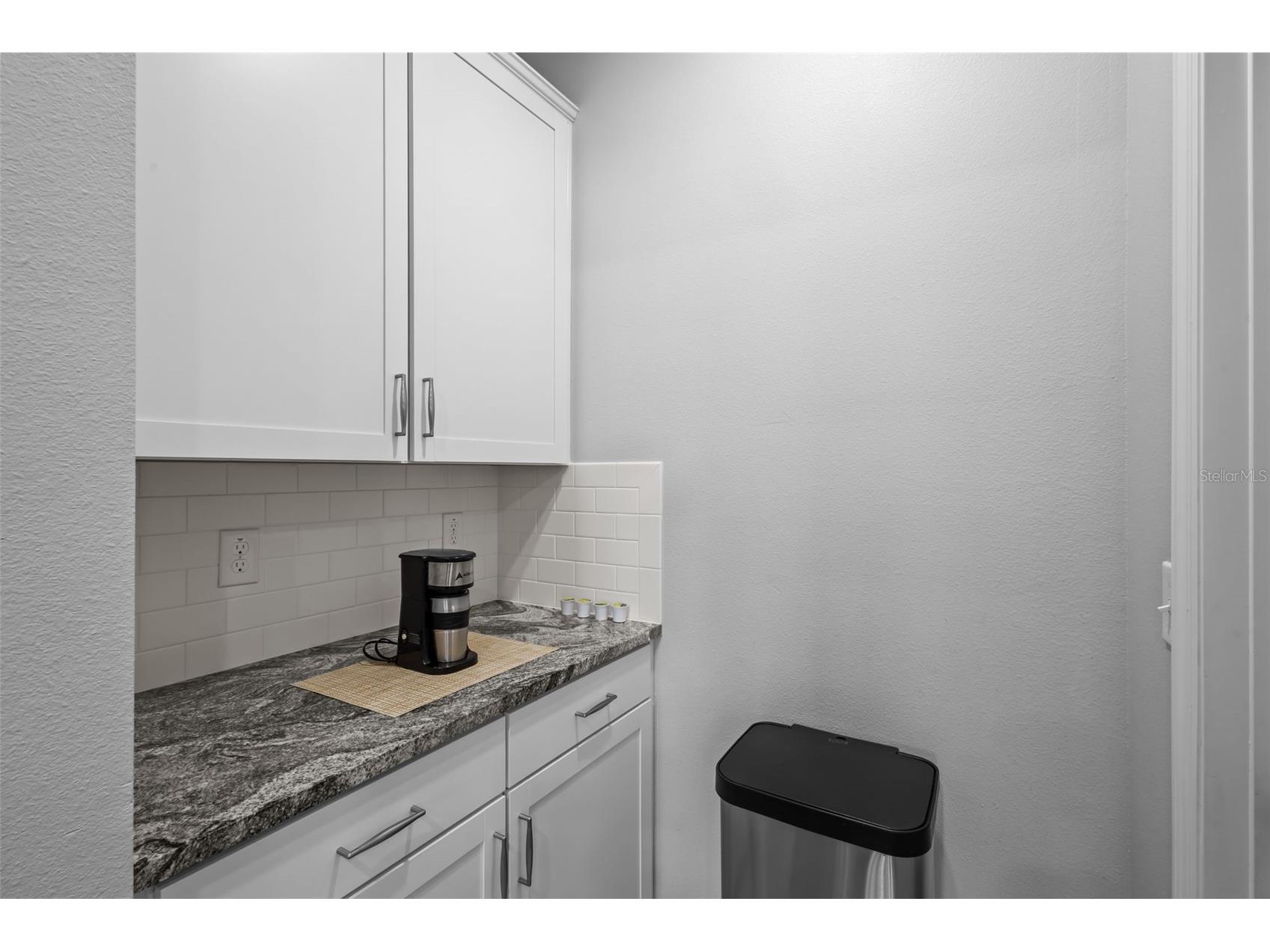 3201 Living Coral Drive Odessa FL 33556 TB8509781 image15