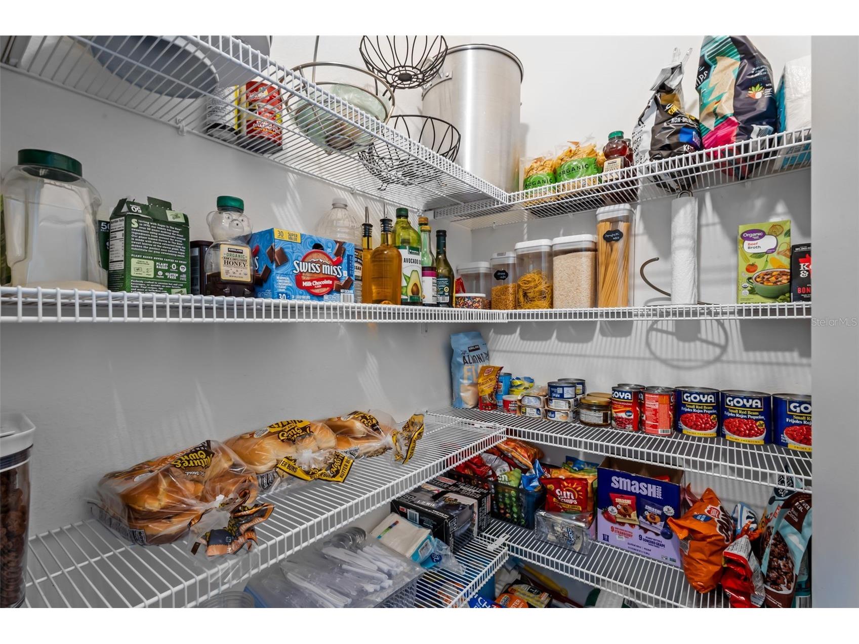 3201 Living Coral Drive Odessa FL 33556 TB8509781 image16