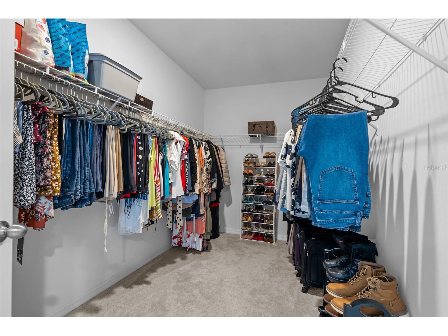 3201 Living Coral Drive Odessa FL 33556 TB8509781 image24