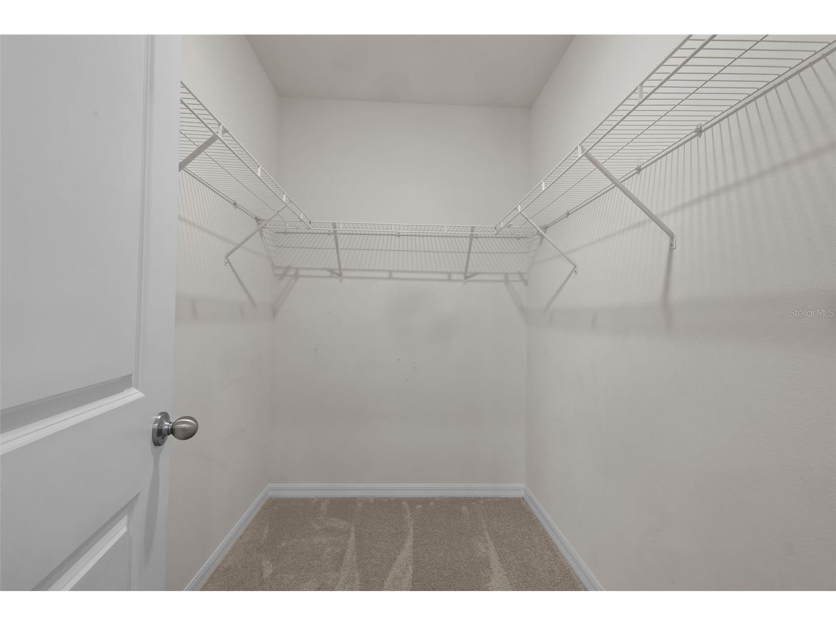 3201 Living Coral Drive Odessa FL 33556 TB8509781 image26