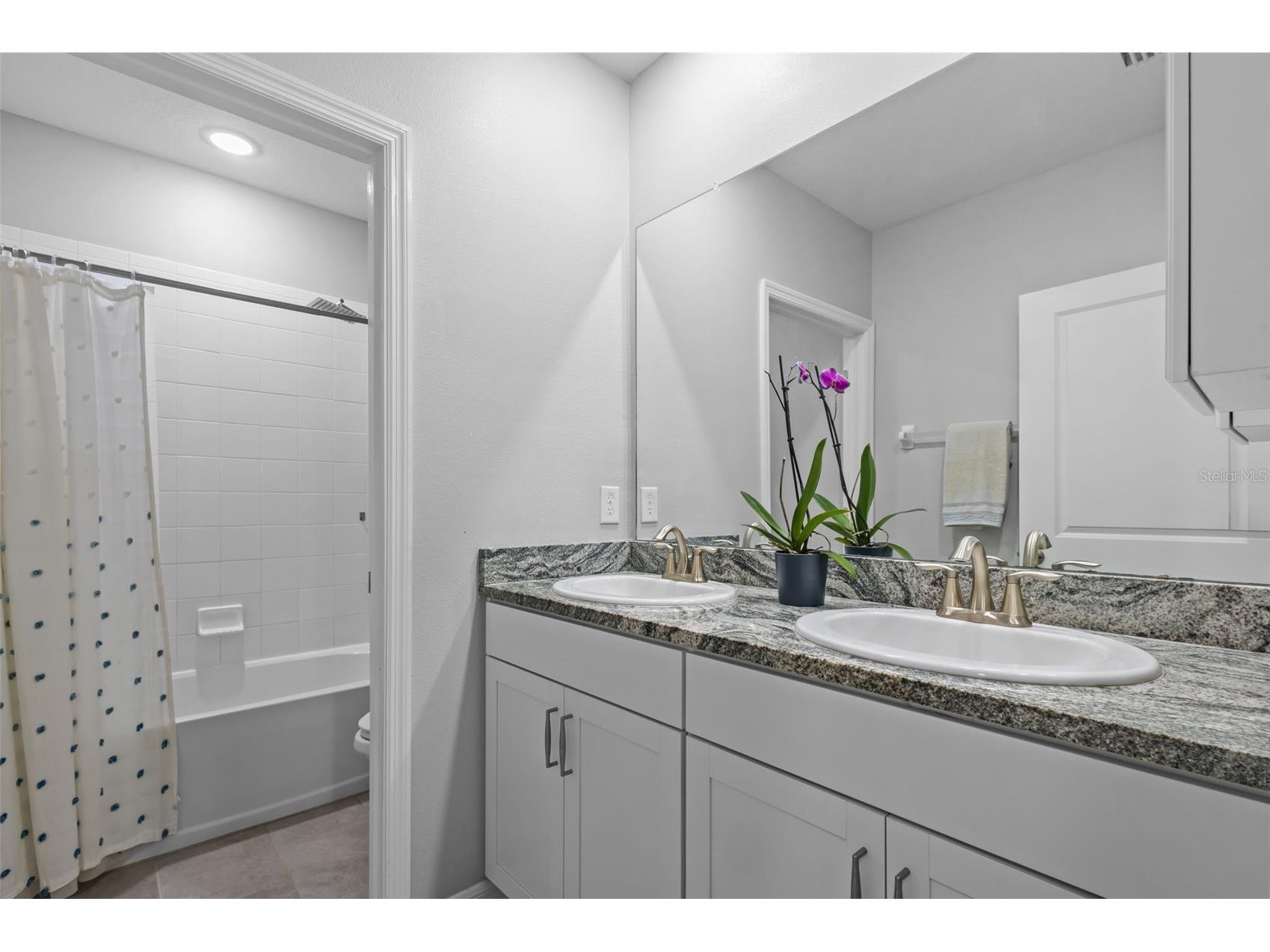 3201 Living Coral Drive Odessa FL 33556 TB8509781 image37