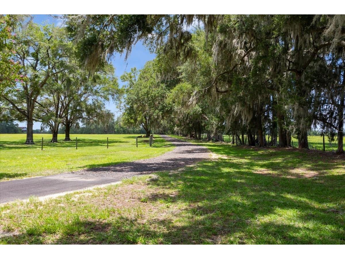 3201 NW 202 Street Newberry FL 32669 GC541782 image44