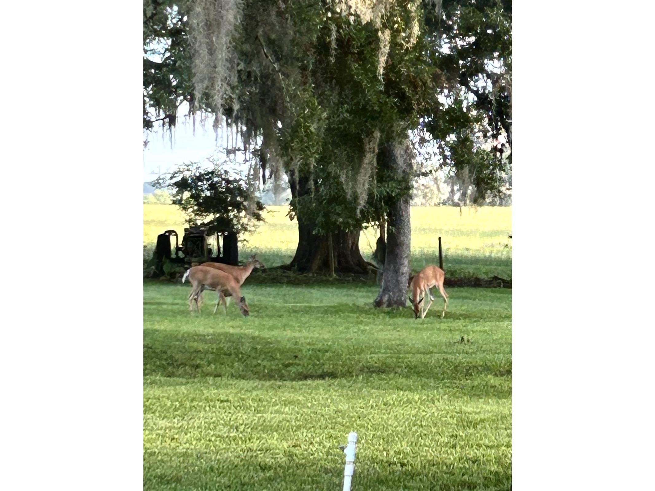 3201 NW 202 Street Newberry FL 32669 GC541782 image57