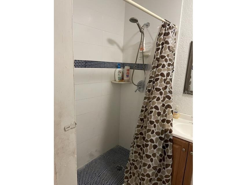 3201 River Grove Drive Tampa FL 33610 S5148548 image36
