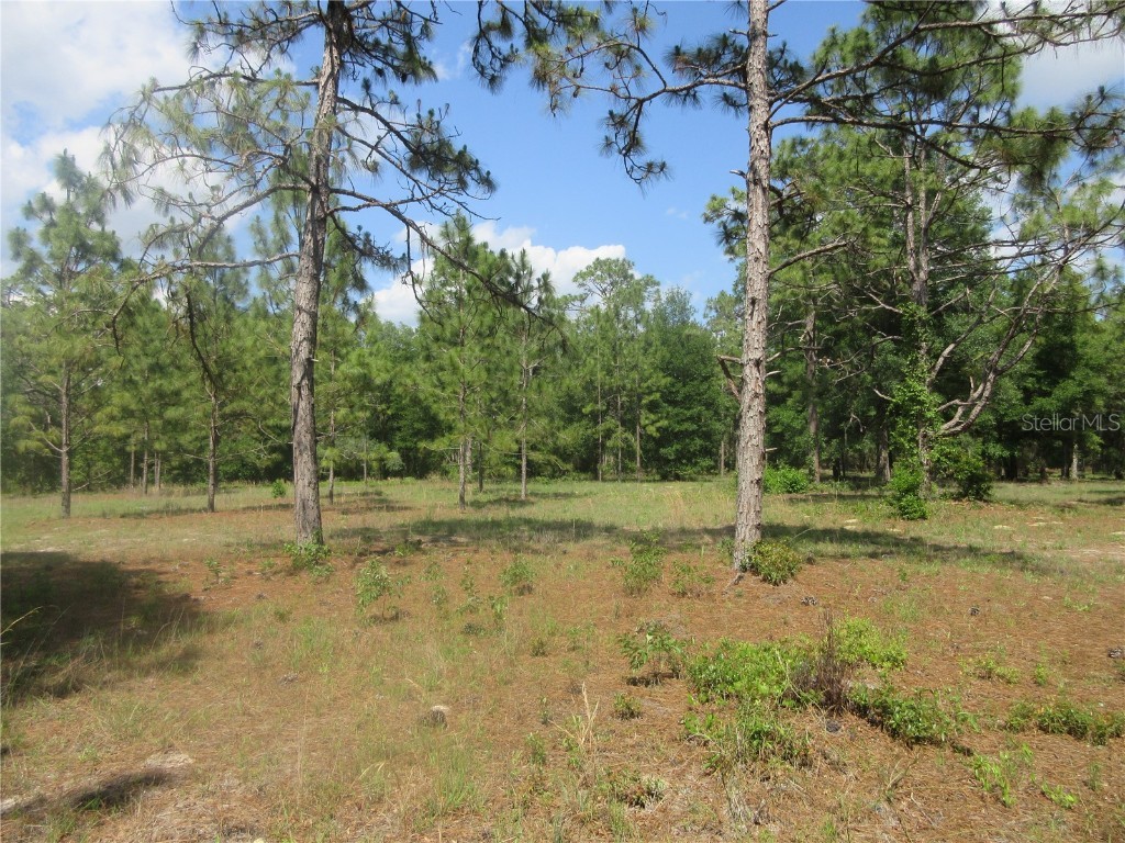 3201 S Highway 314a Ocklawaha FL 32179 OM701622 image1