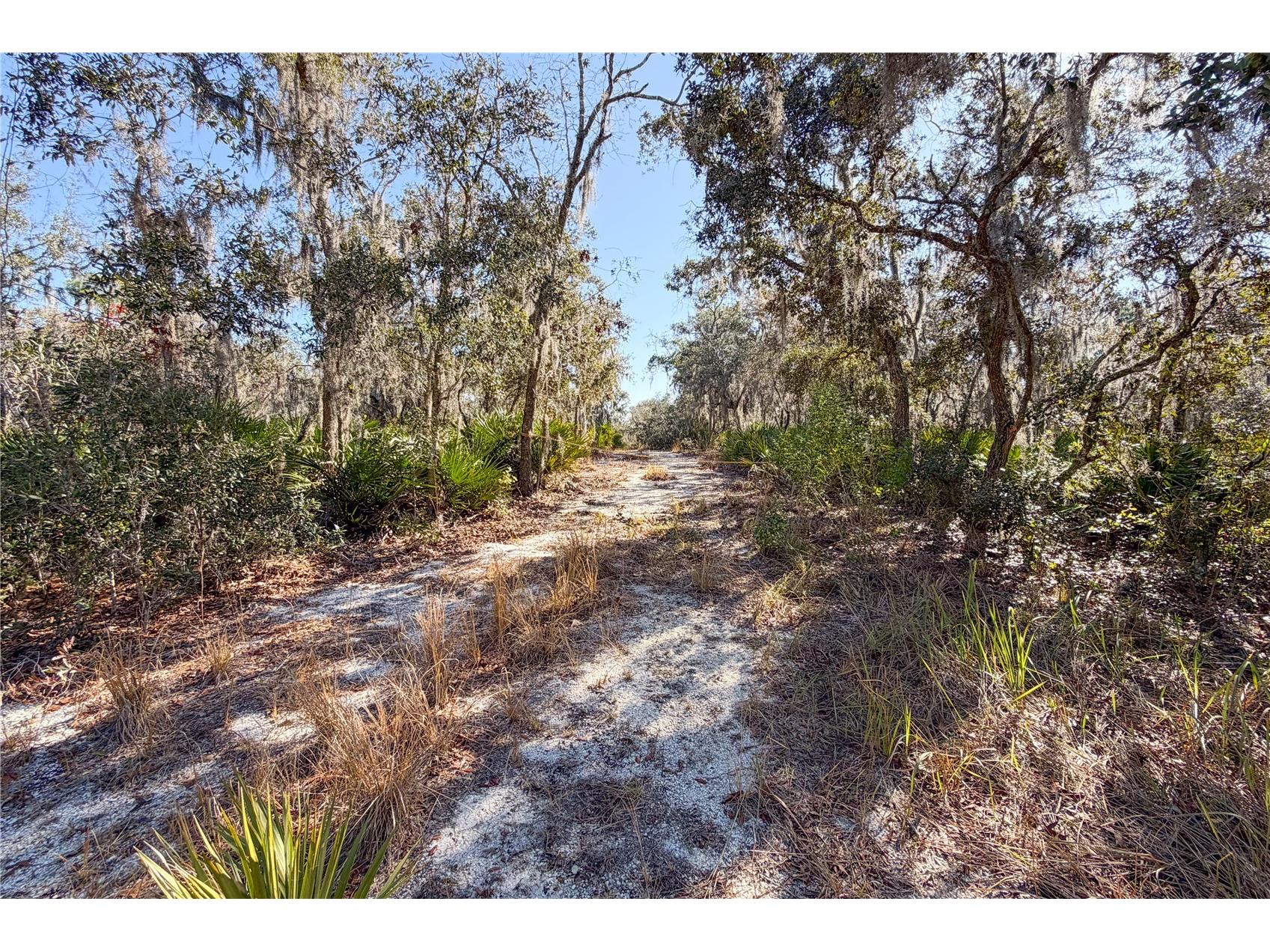 3201 Scrub Oak Lane Lake Wales FL 33898 - WALK IN WATER LAKE O6381396 image2