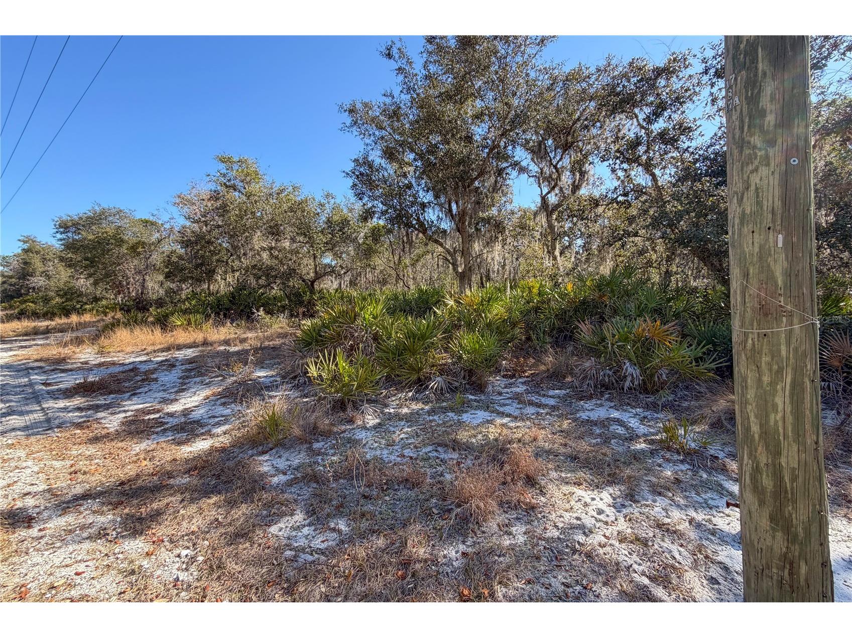 3201 Scrub Oak Lane Lake Wales FL 33898 - WALK IN WATER LAKE O6381396 image3