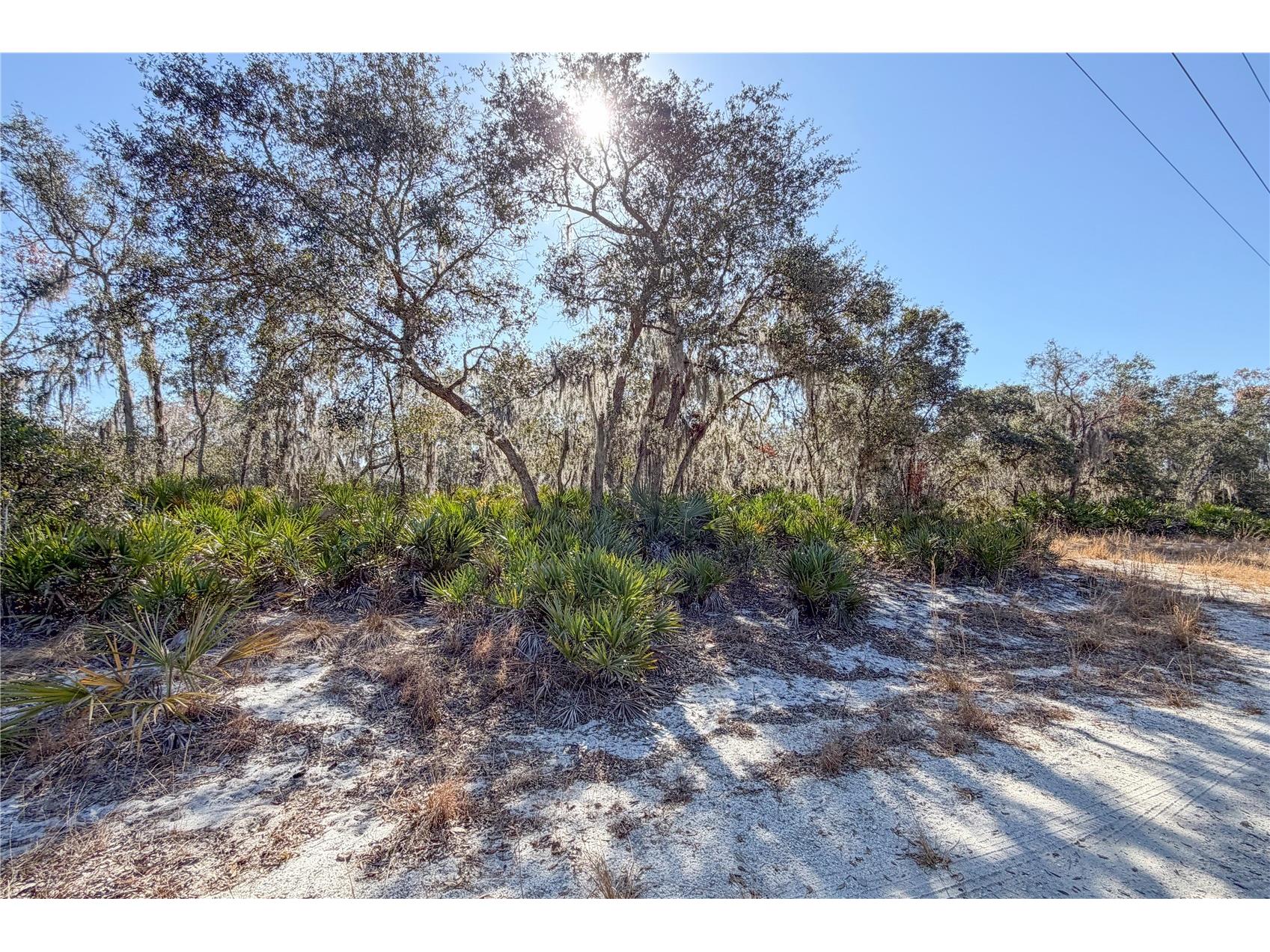 3201 Scrub Oak Lane Lake Wales FL 33898 - WALK IN WATER LAKE O6381396 image4