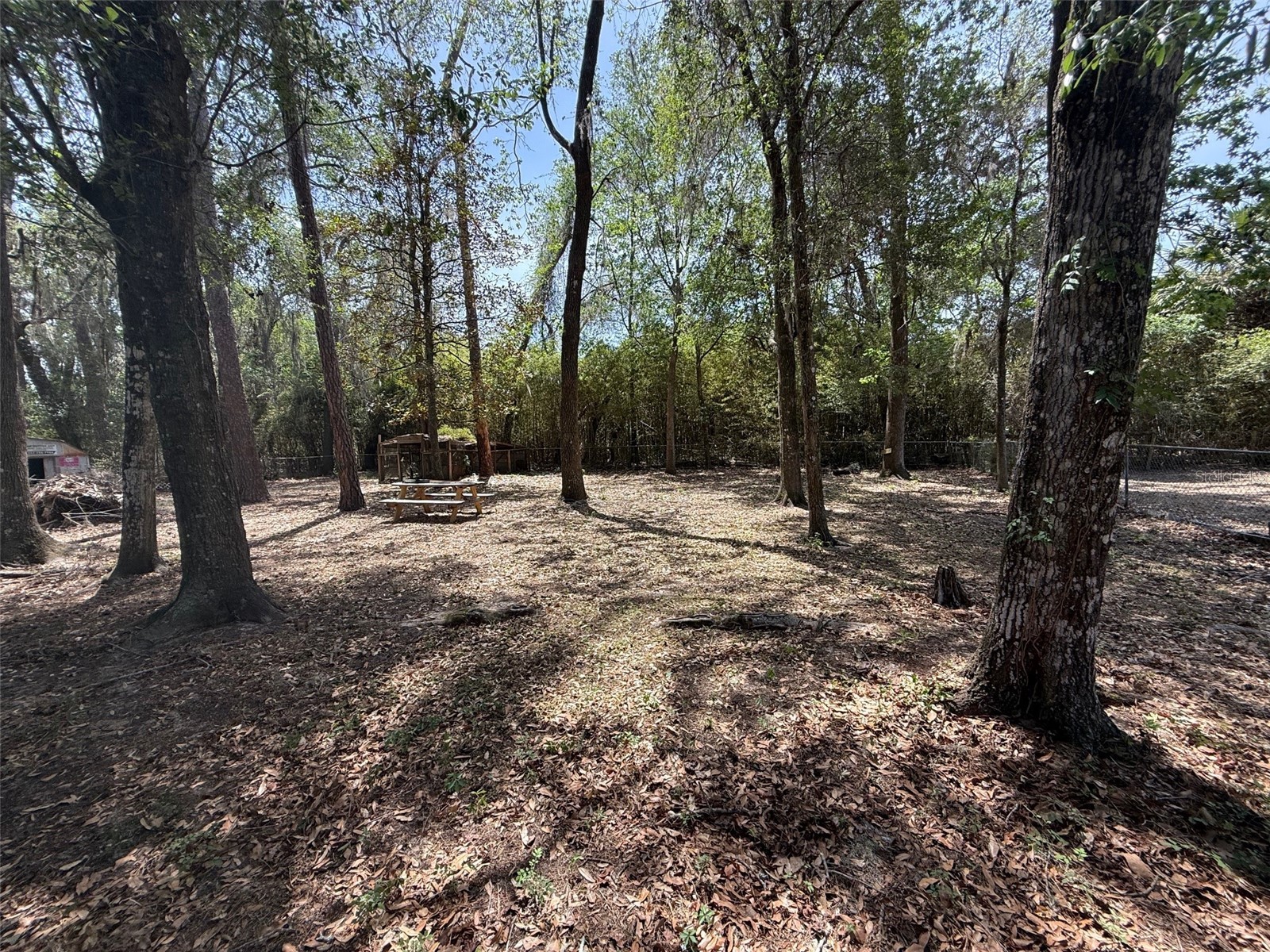 3201 SE 28th Avenue Gainesville FL 32641 GC539566 image15