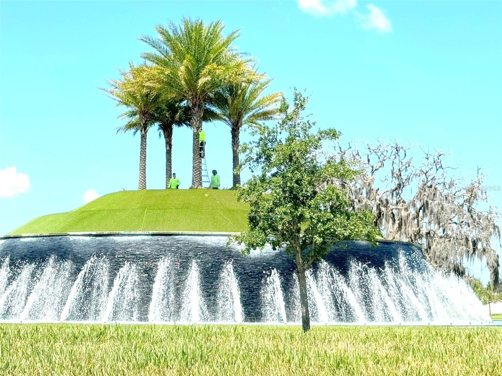 32010 Spiceberry Street San Antonio FL 33576 TB8516330 image18