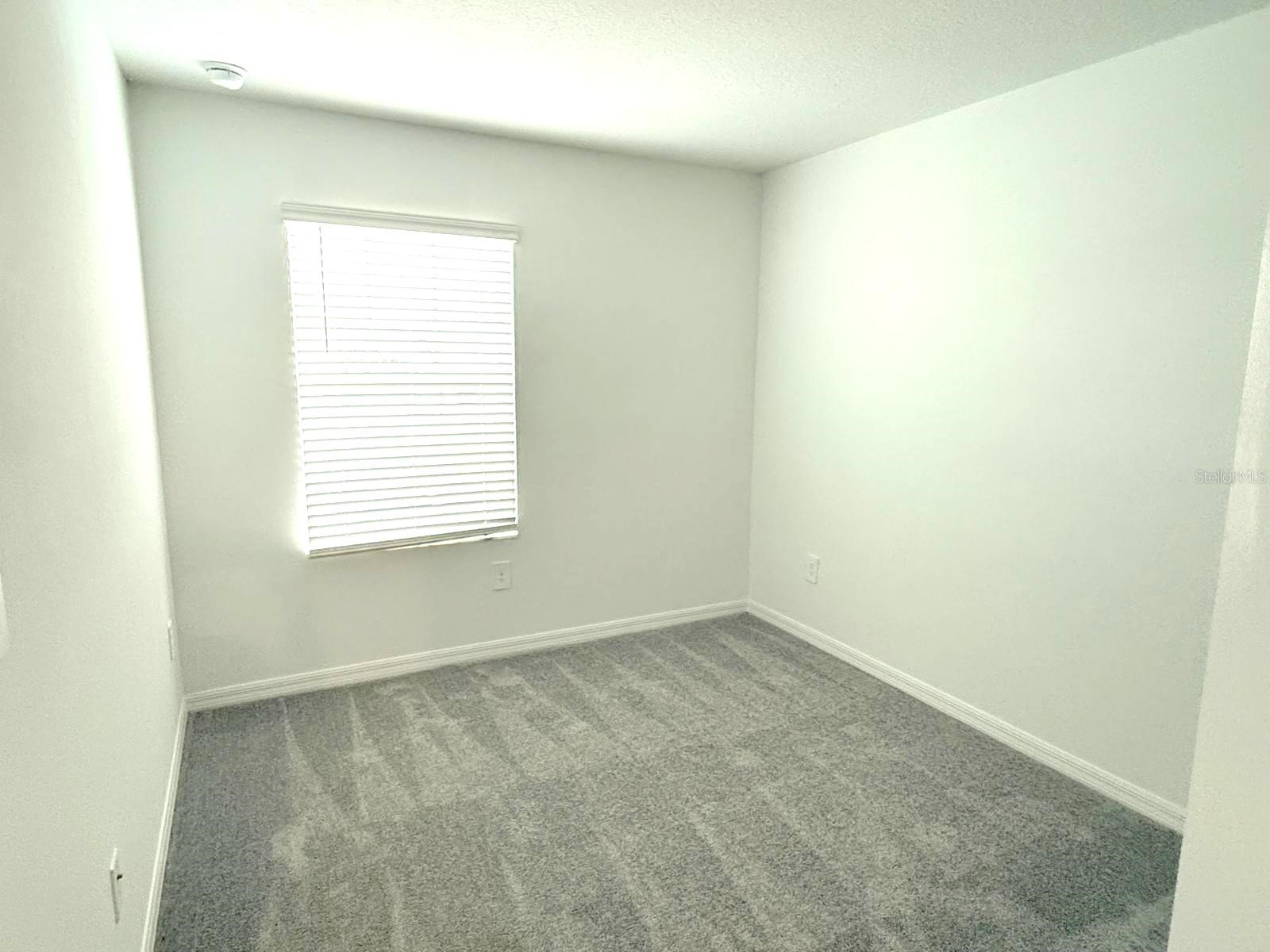 32010 Spiceberry Street San Antonio FL 33576 TB8516330 image8
