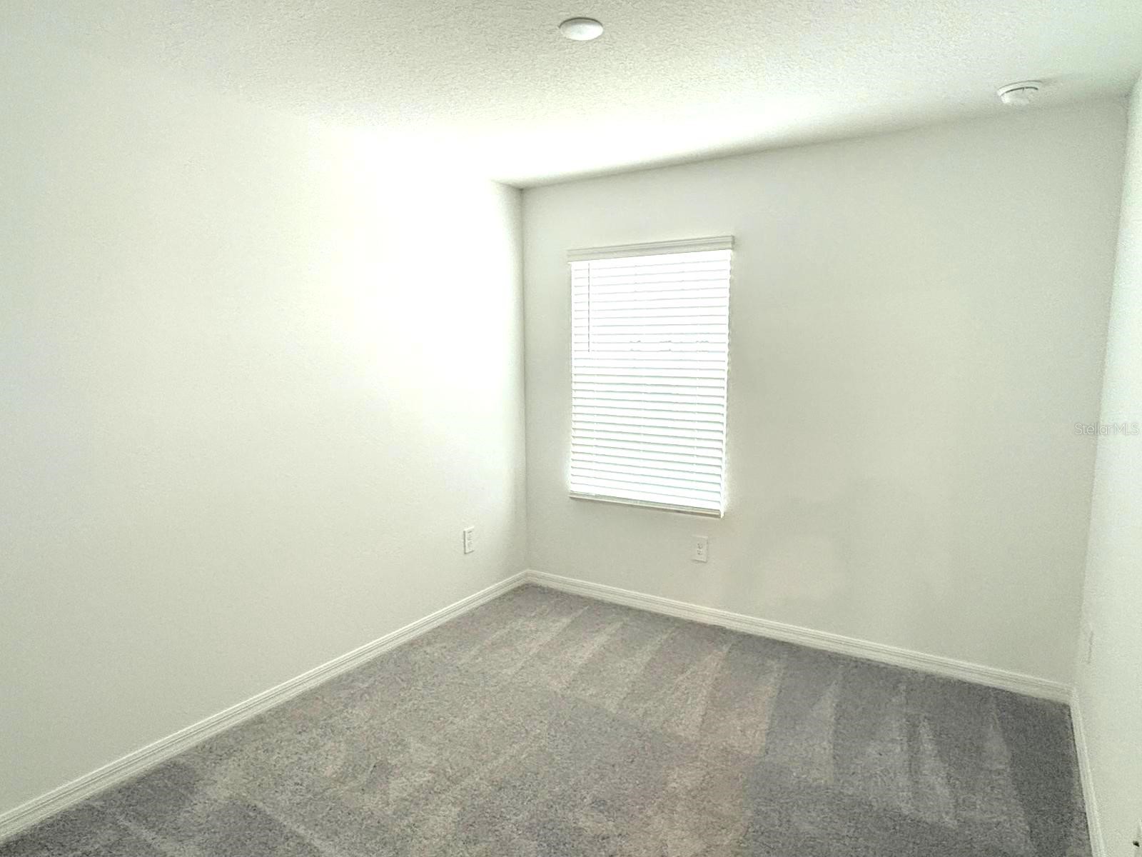 32010 Spiceberry Street San Antonio FL 33576 TB8516330 image9