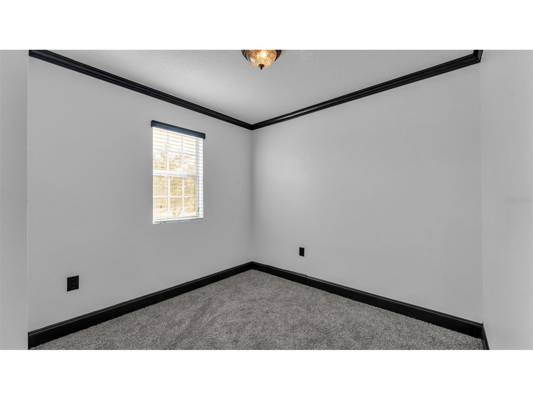 3202 Magnolia Garden Drive Plant City FL 33567 TB8478573 image38