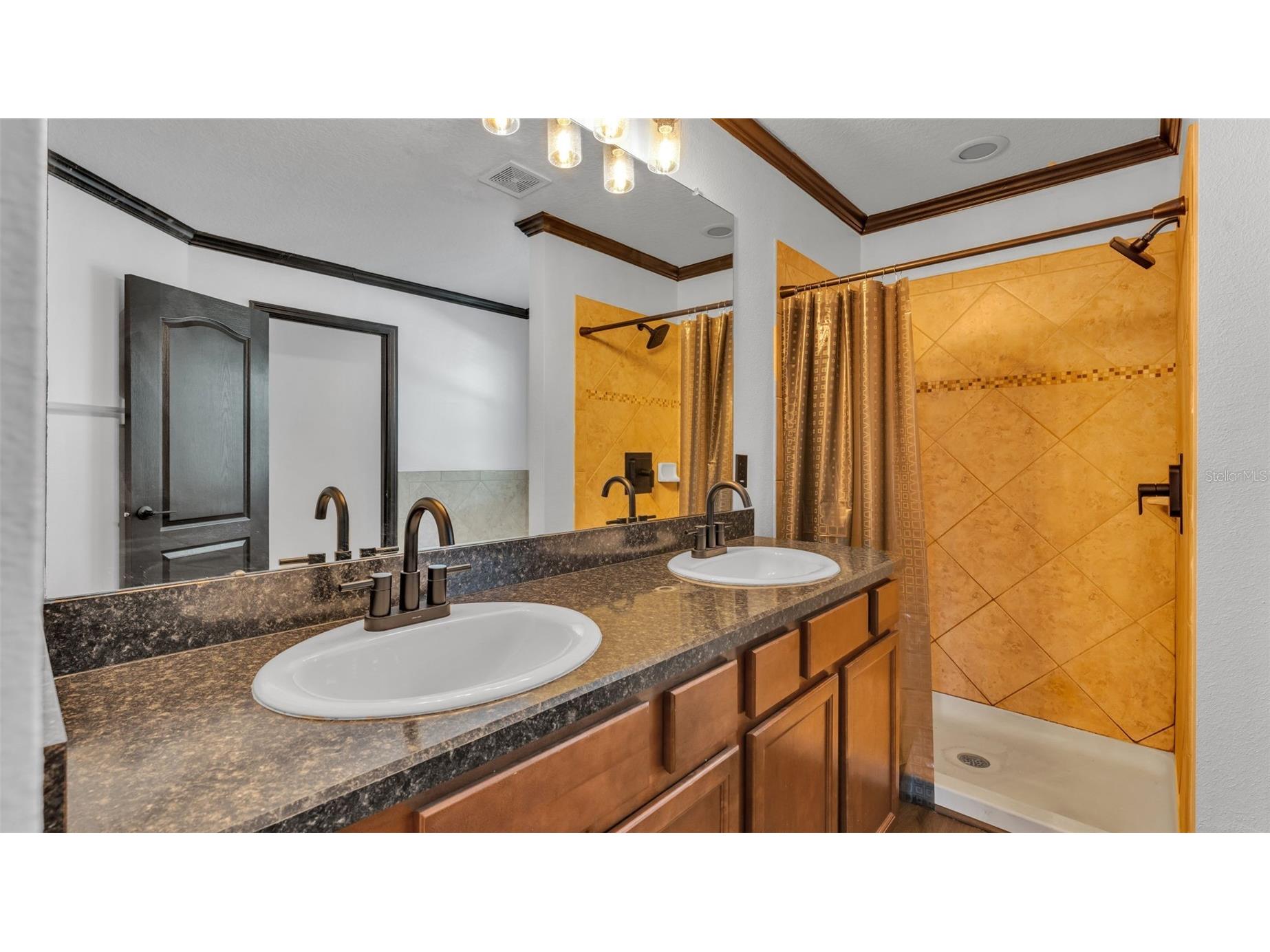 3202 Magnolia Garden Drive Plant City FL 33567 TB8478573 image43