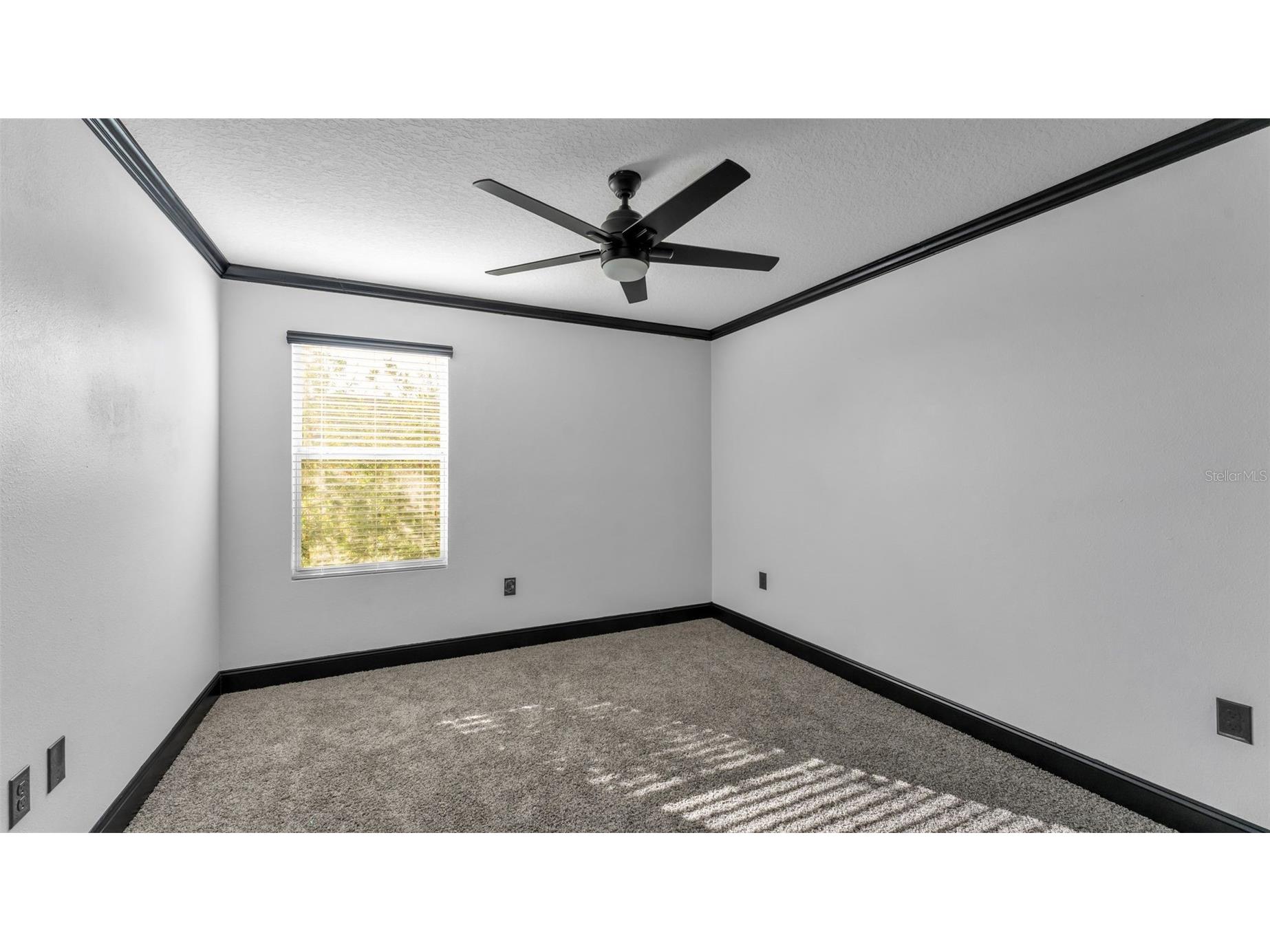 3202 Magnolia Garden Drive Plant City FL 33567 TB8478573 image46