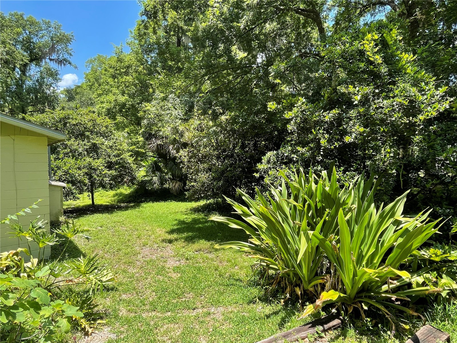 3202 NW 14th Street Gainesville FL 32605 TB8526051 image14