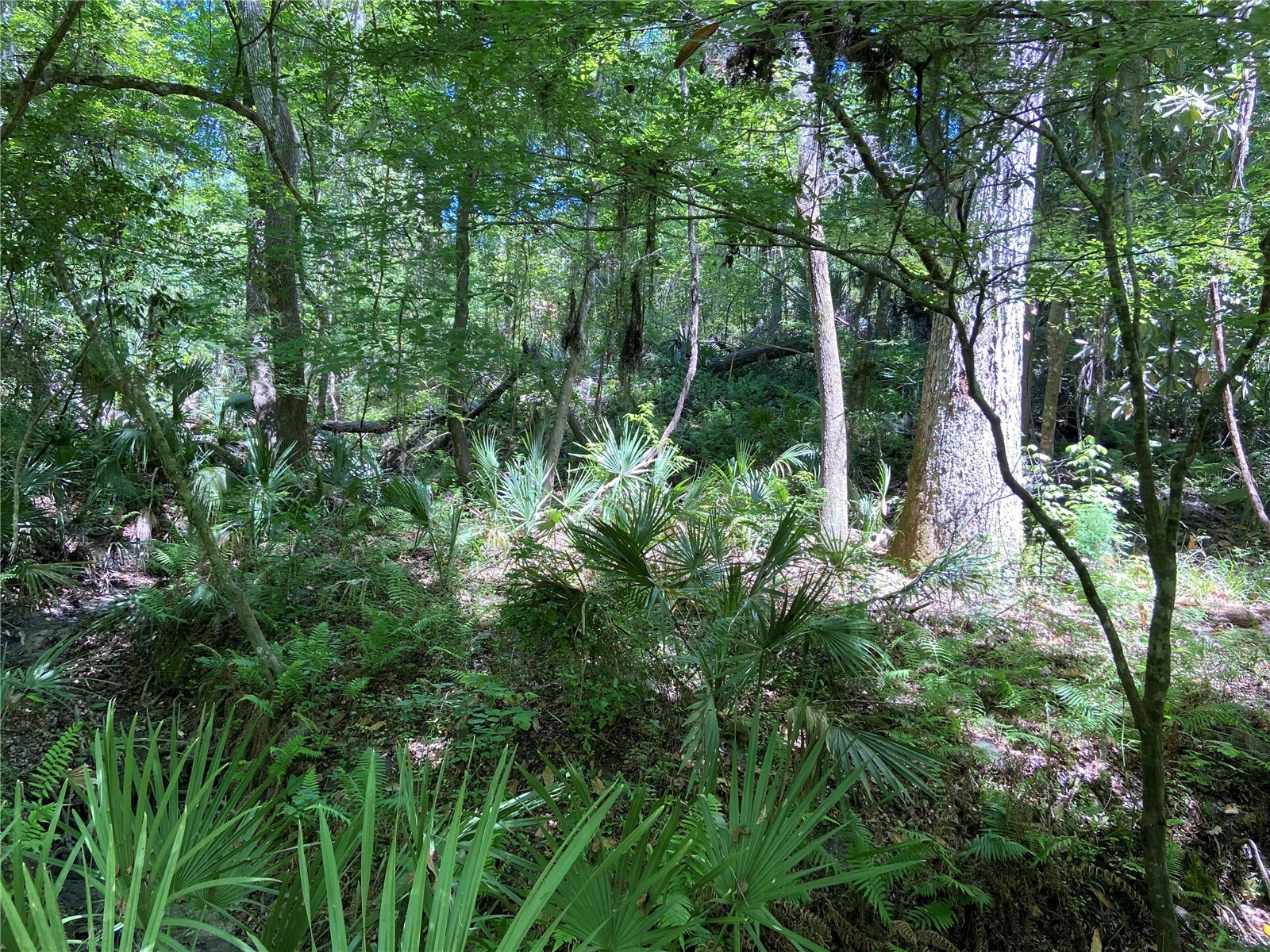 3202 NW 14th Street Gainesville FL 32605 TB8526051 image27