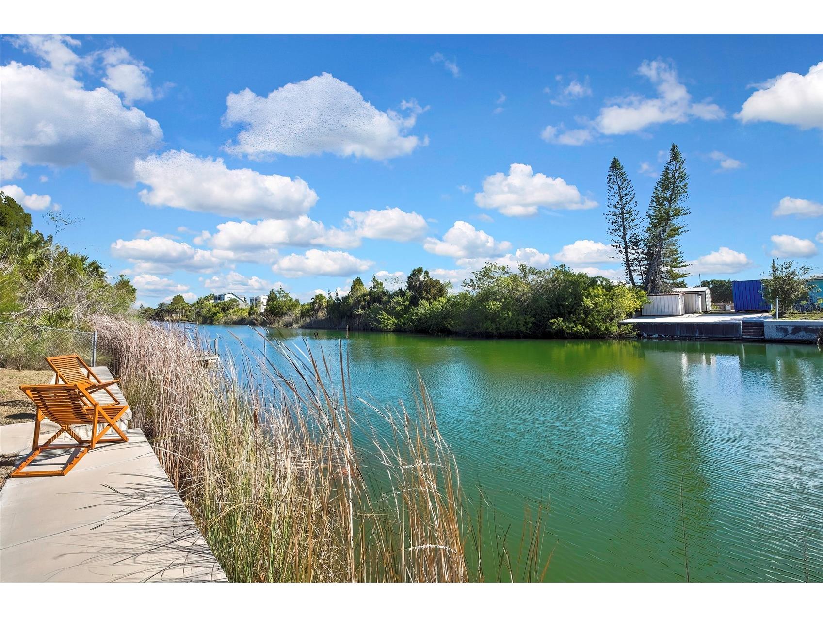3202 Rose Arbor Drive Hernando Beach FL 34607 - BLUE GILL CANAL O6389037 image14