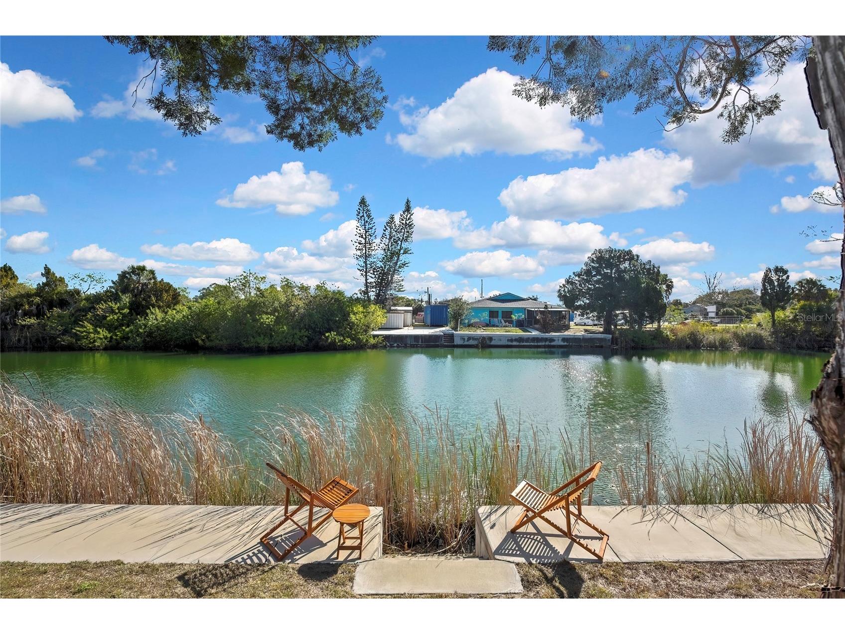 3202 Rose Arbor Drive Hernando Beach FL 34607 - BLUE GILL CANAL O6389037 image16