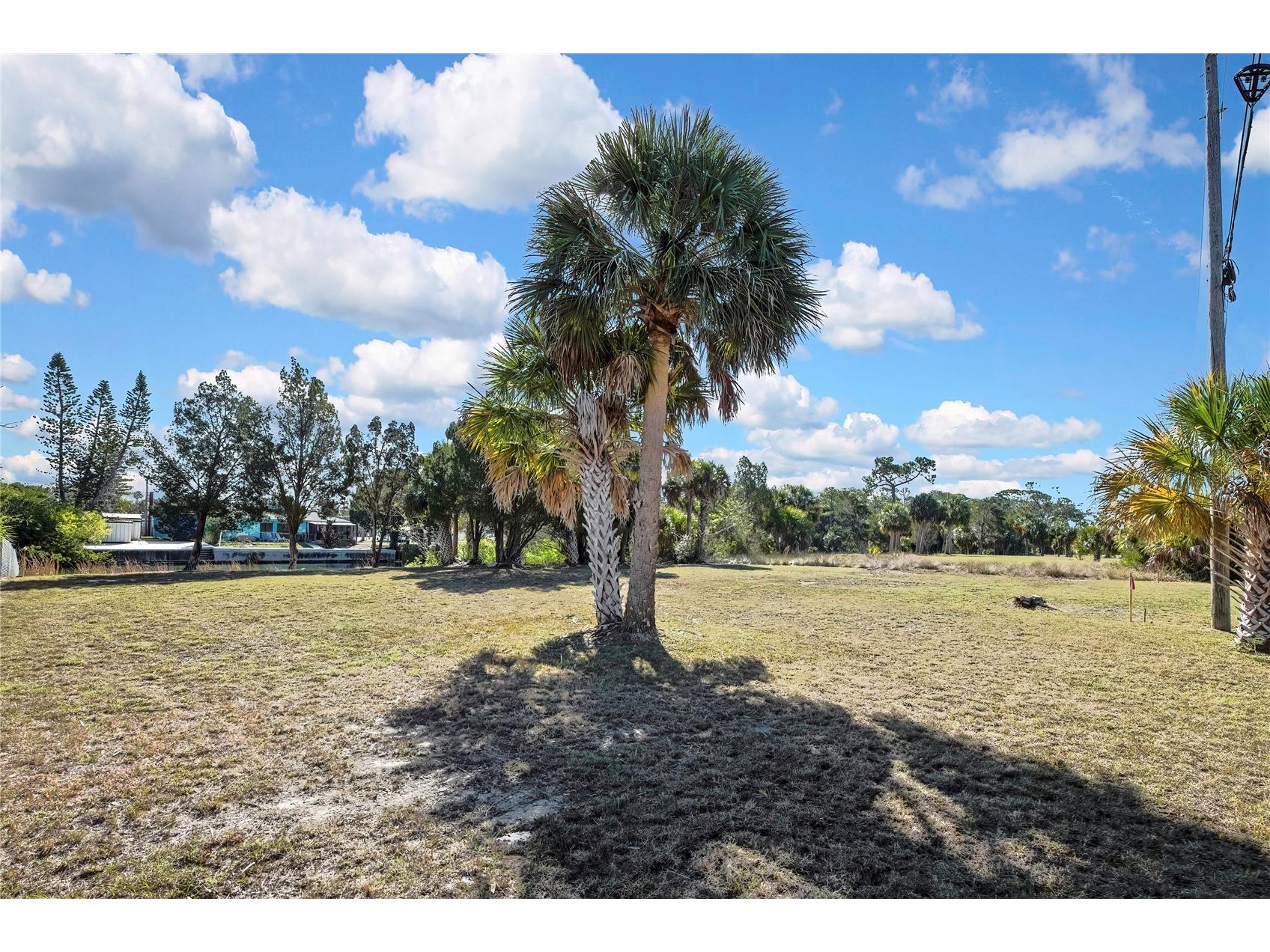 3202 Rose Arbor Drive Hernando Beach FL 34607 - BLUE GILL CANAL O6389037 image19