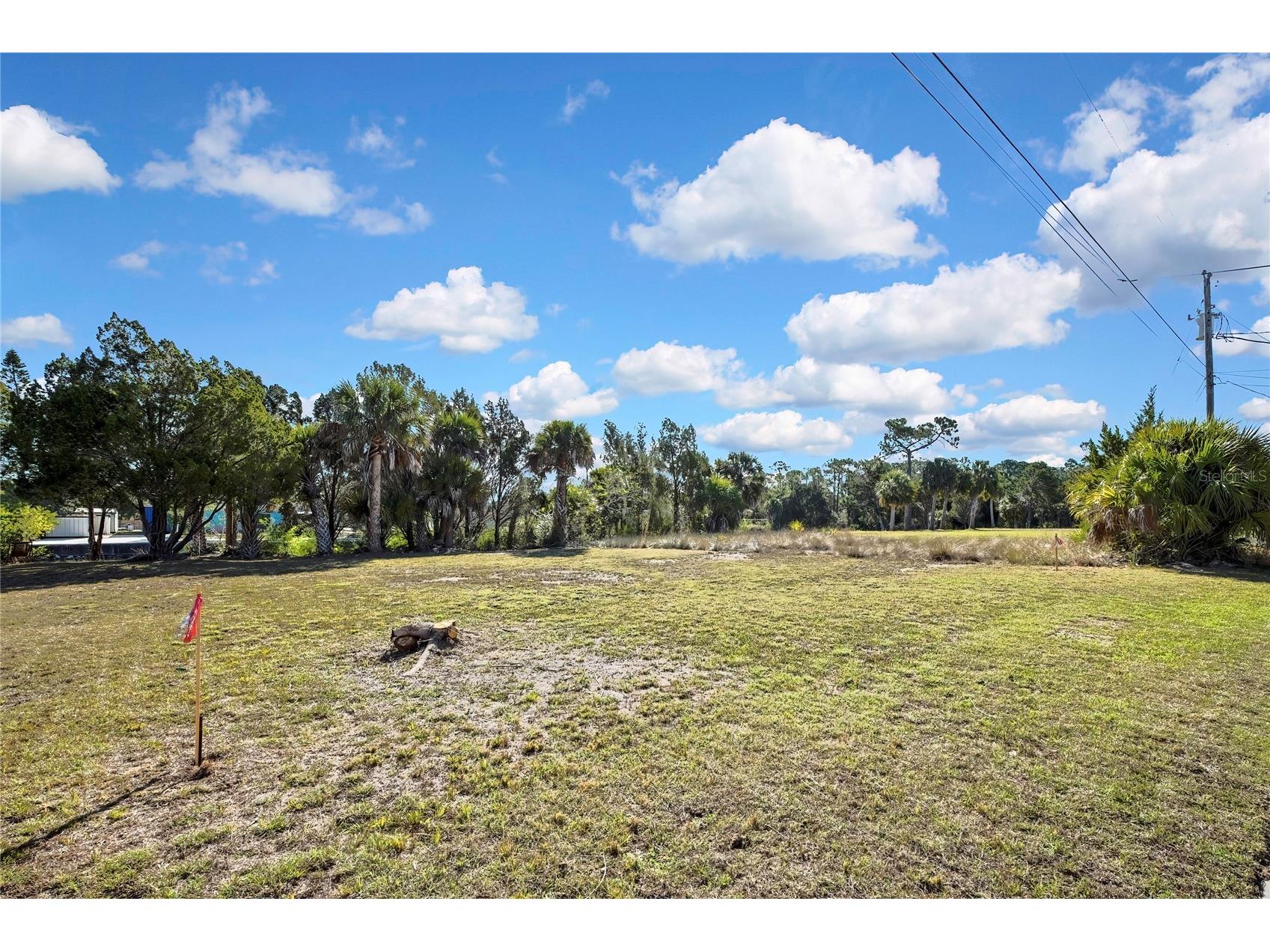 3202 Rose Arbor Drive Hernando Beach FL 34607 - BLUE GILL CANAL O6389037 image2